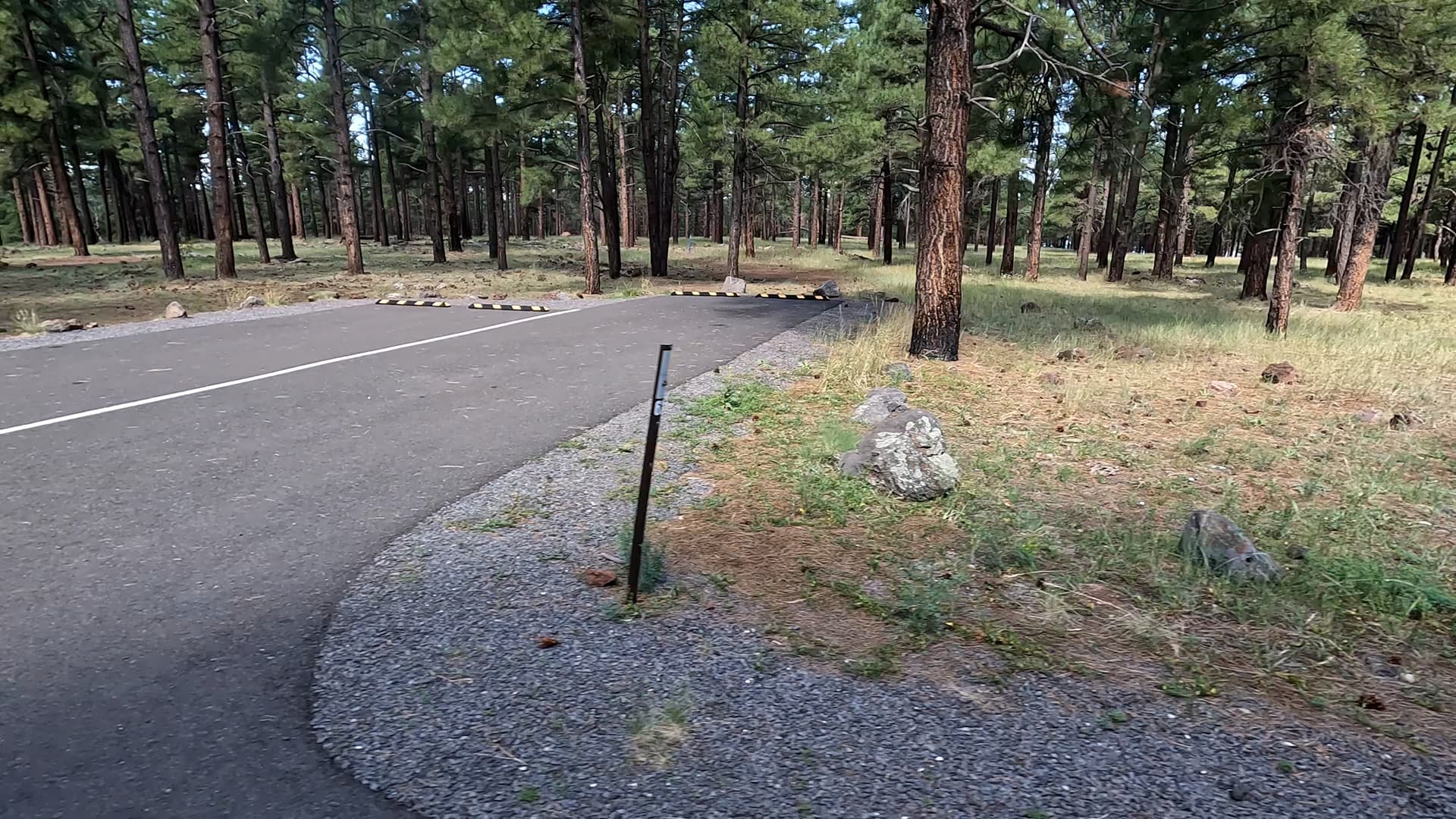 Site 62