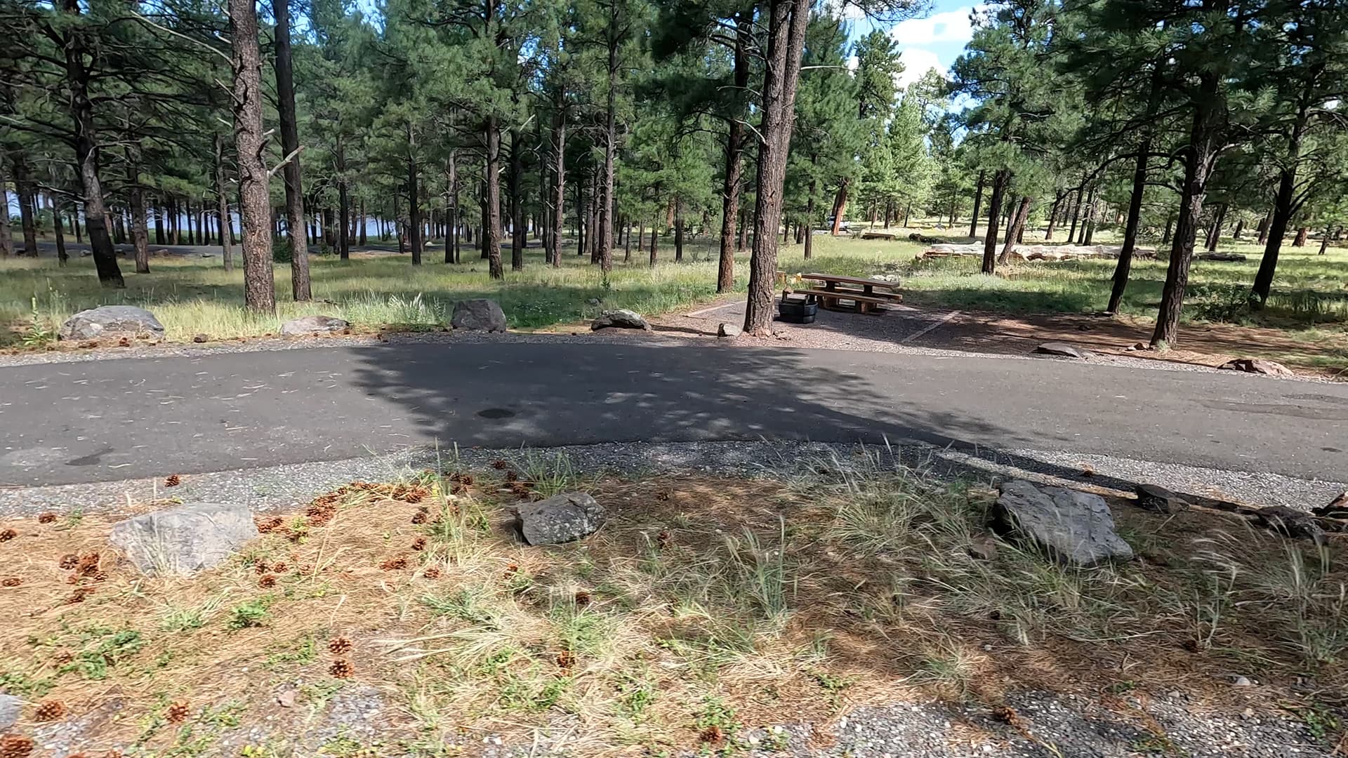 Site 60