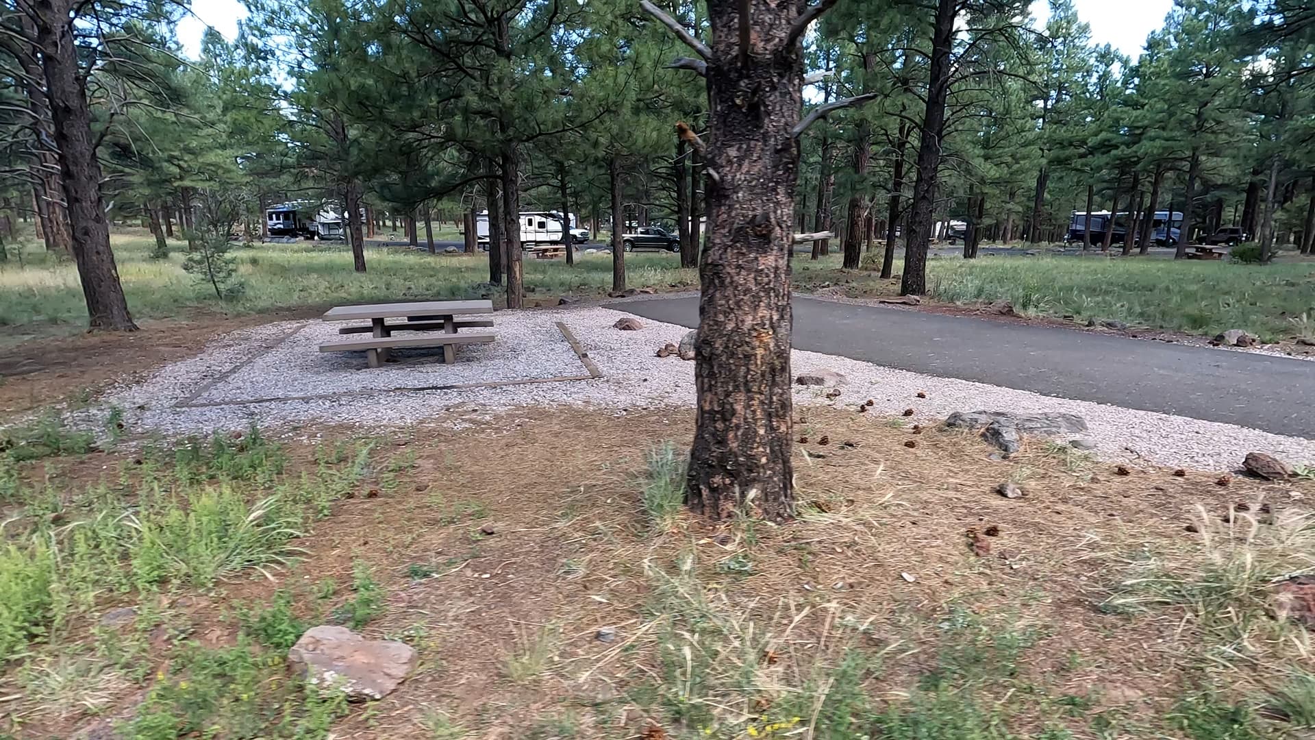 Site 69