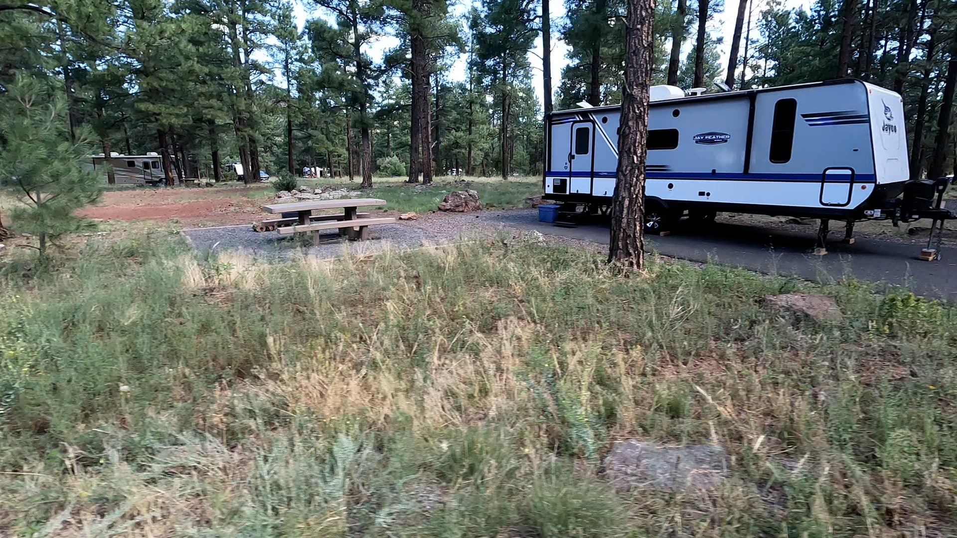 Site 65