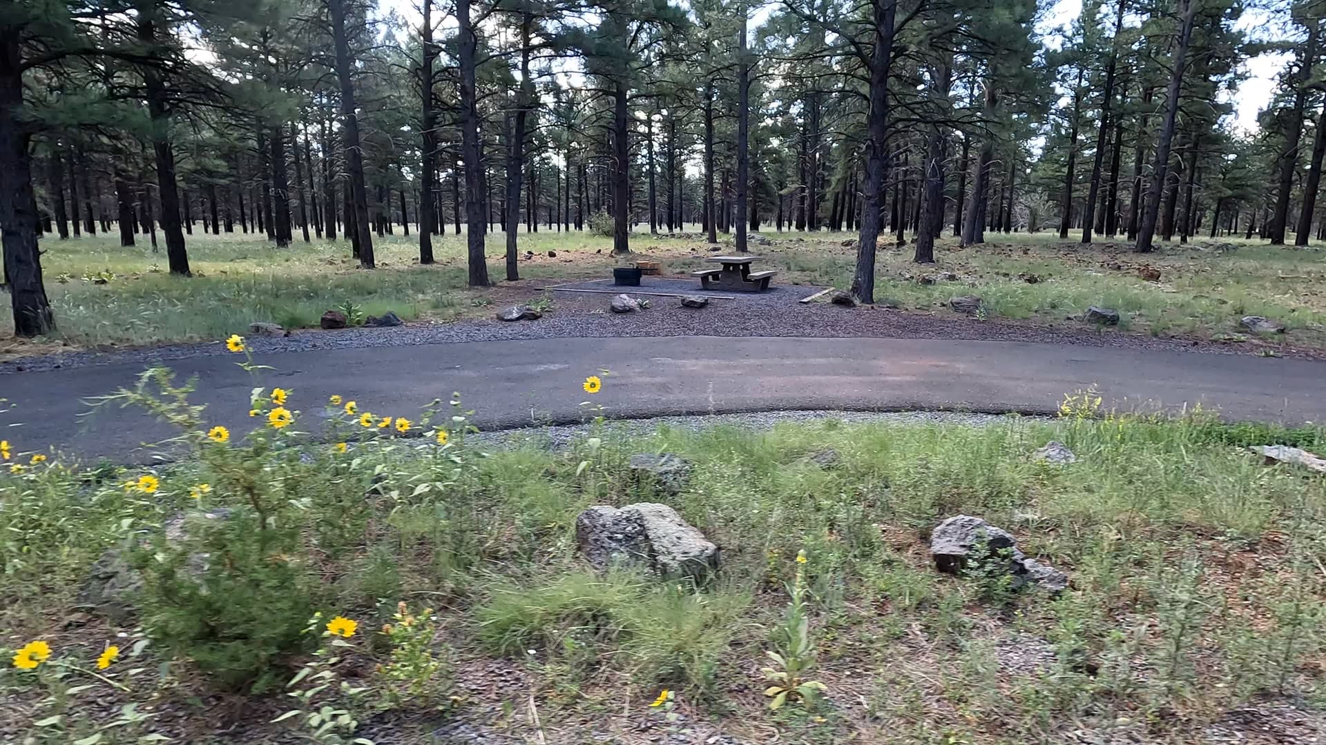 Site 71