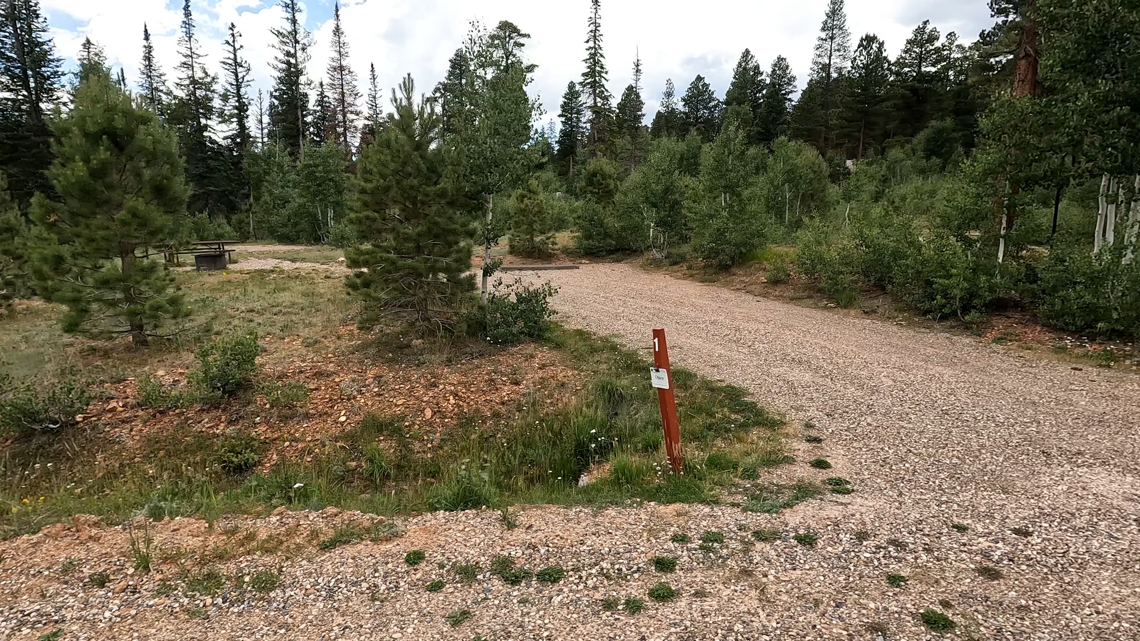 Site 1