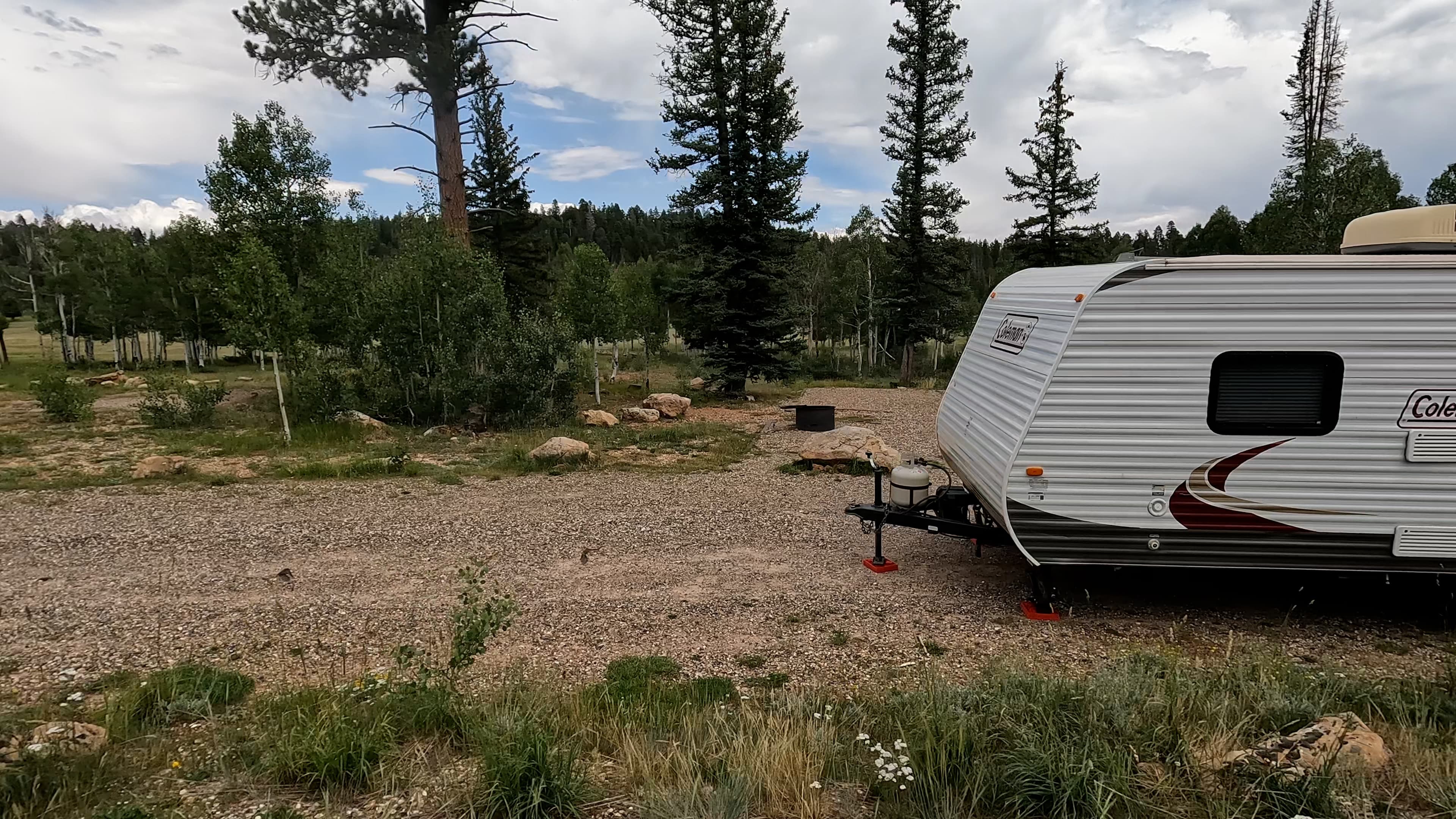 Site 2