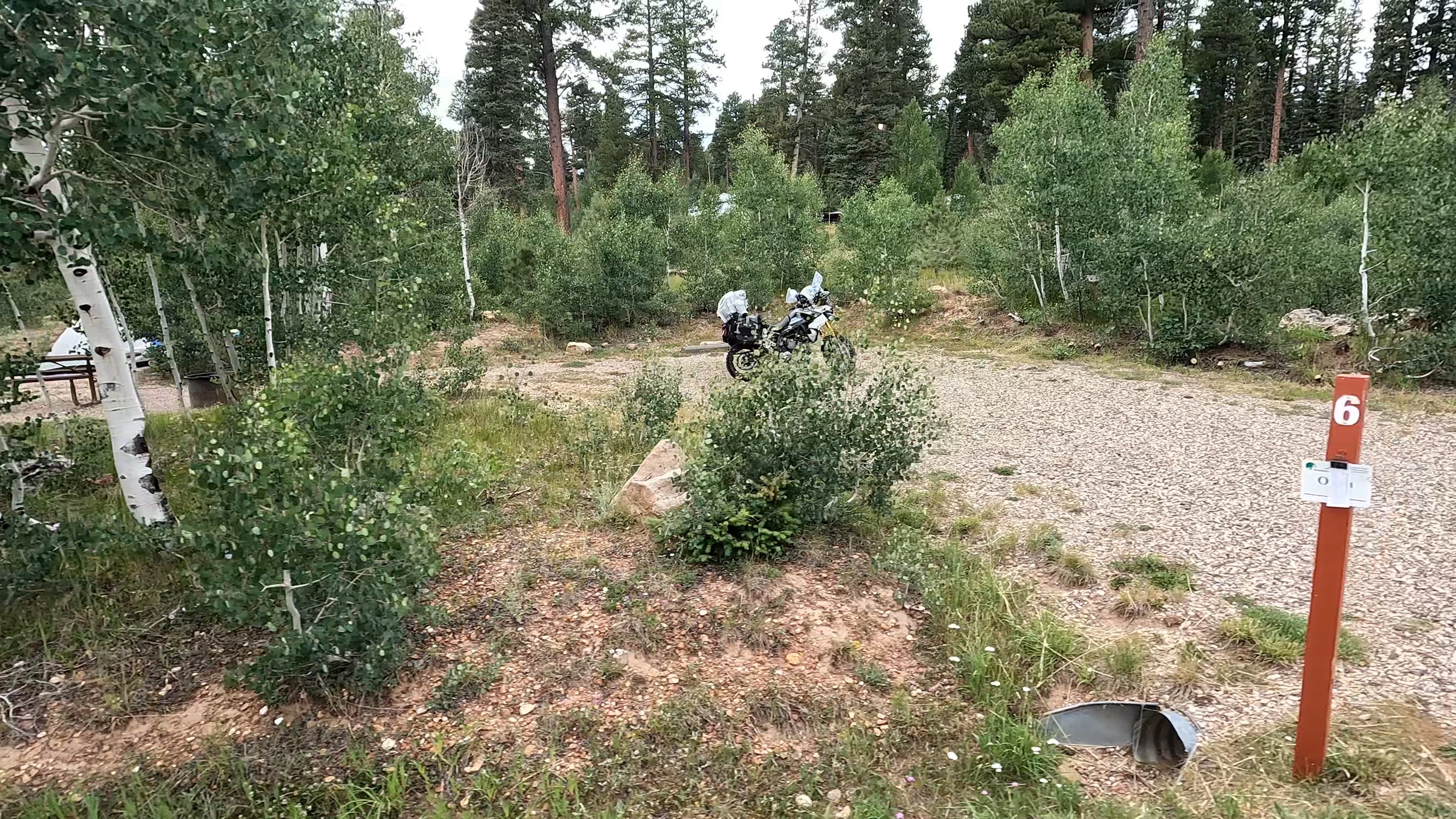 Site 6