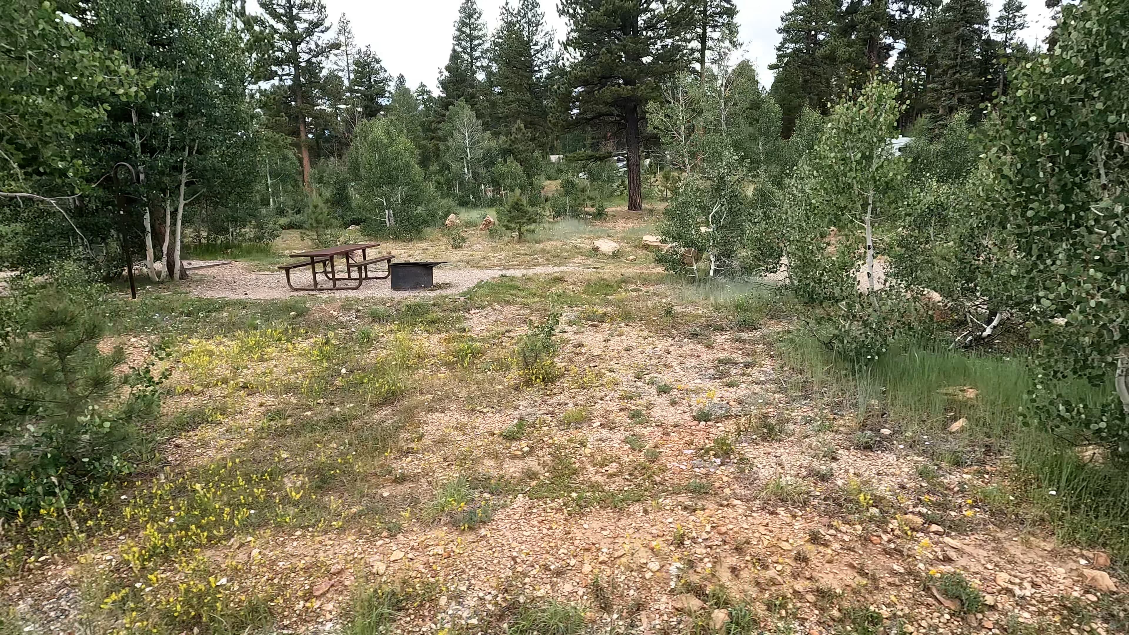 Site 5