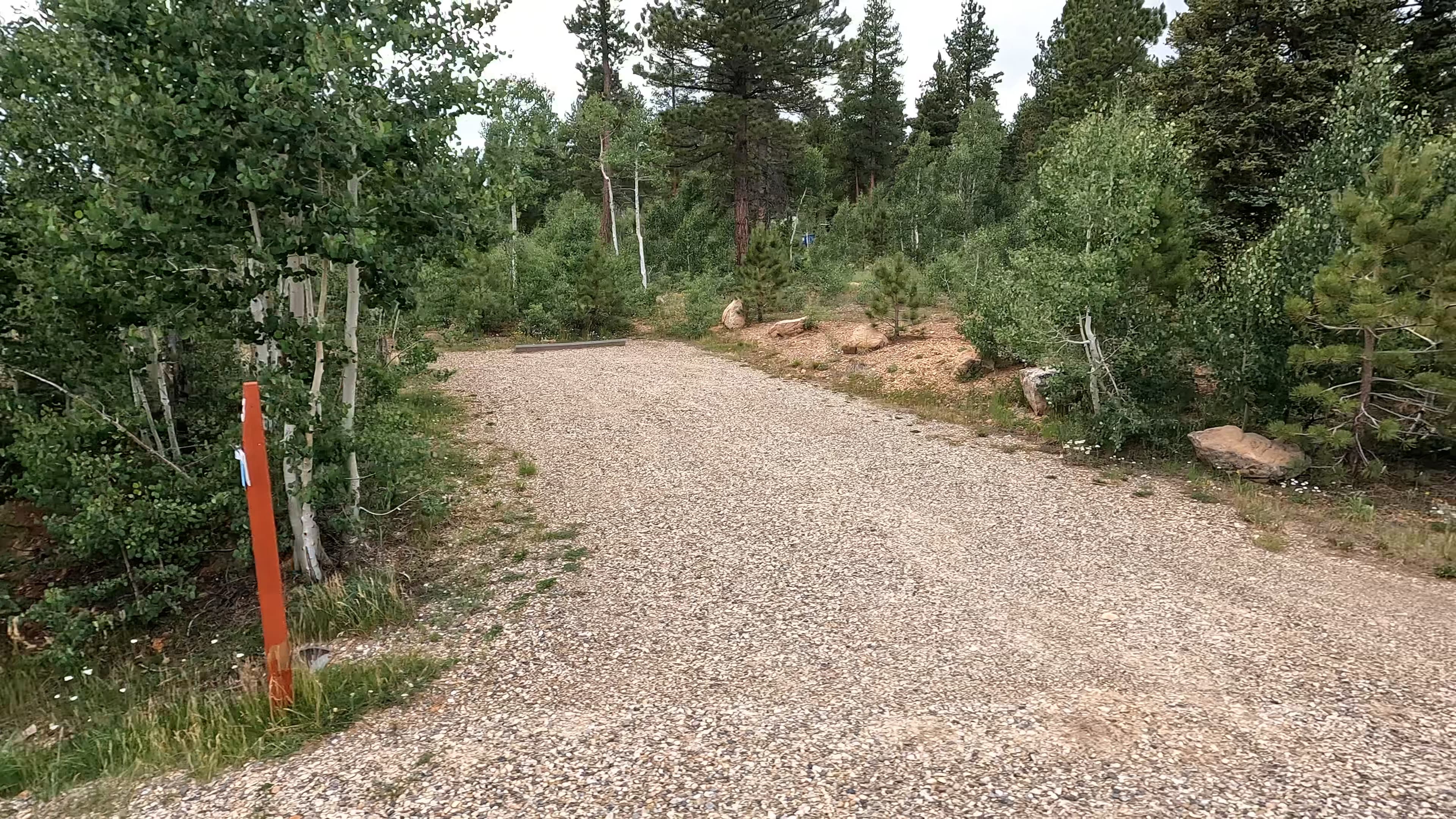 Site 3