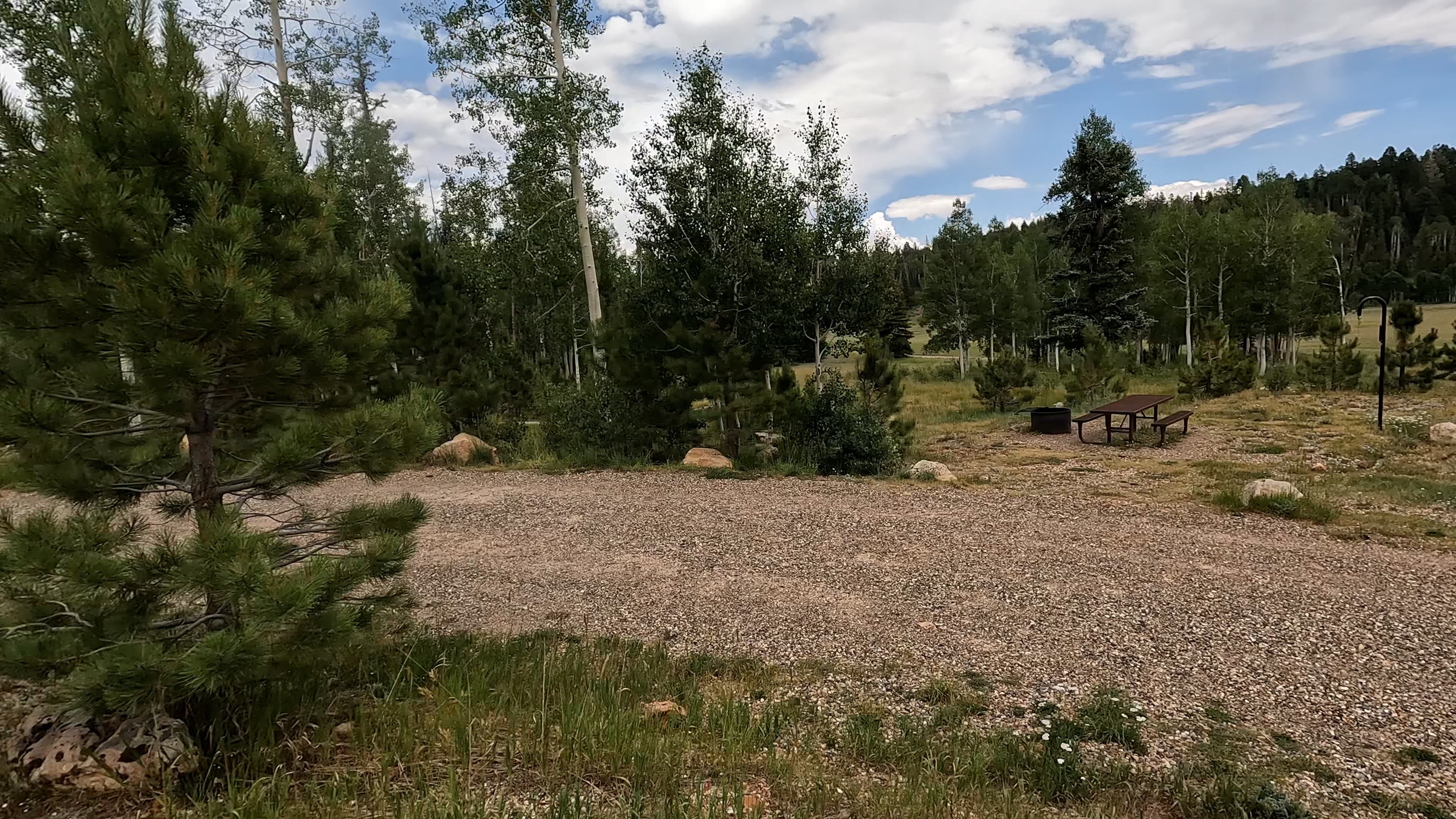 Site 7
