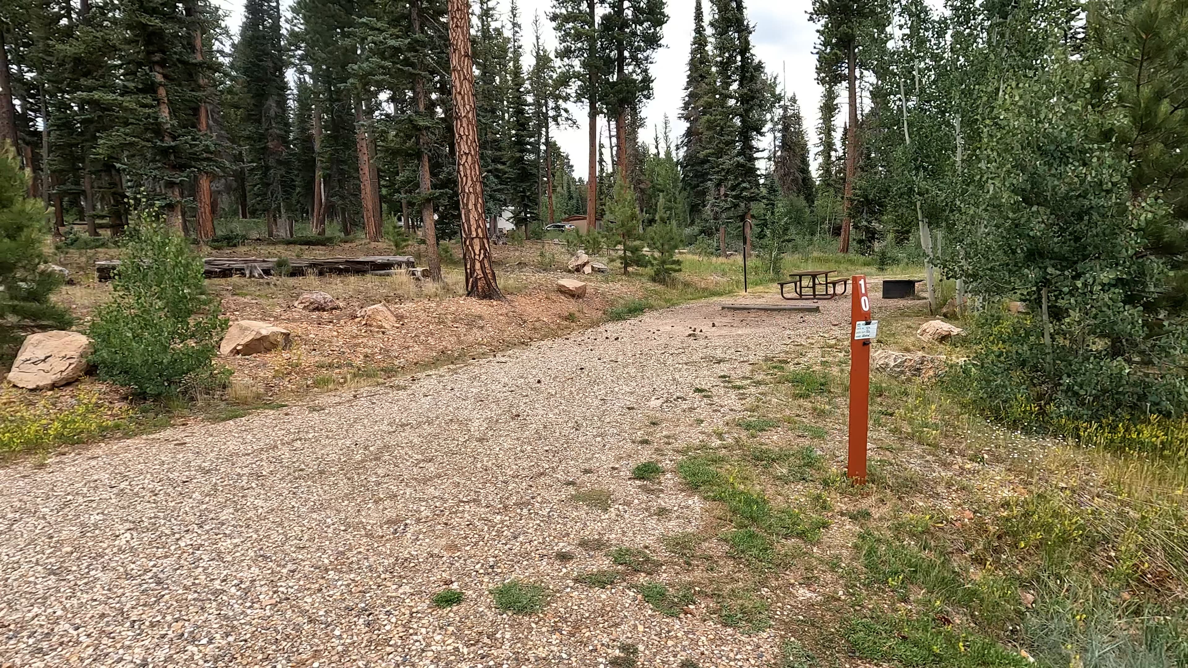 Site 10