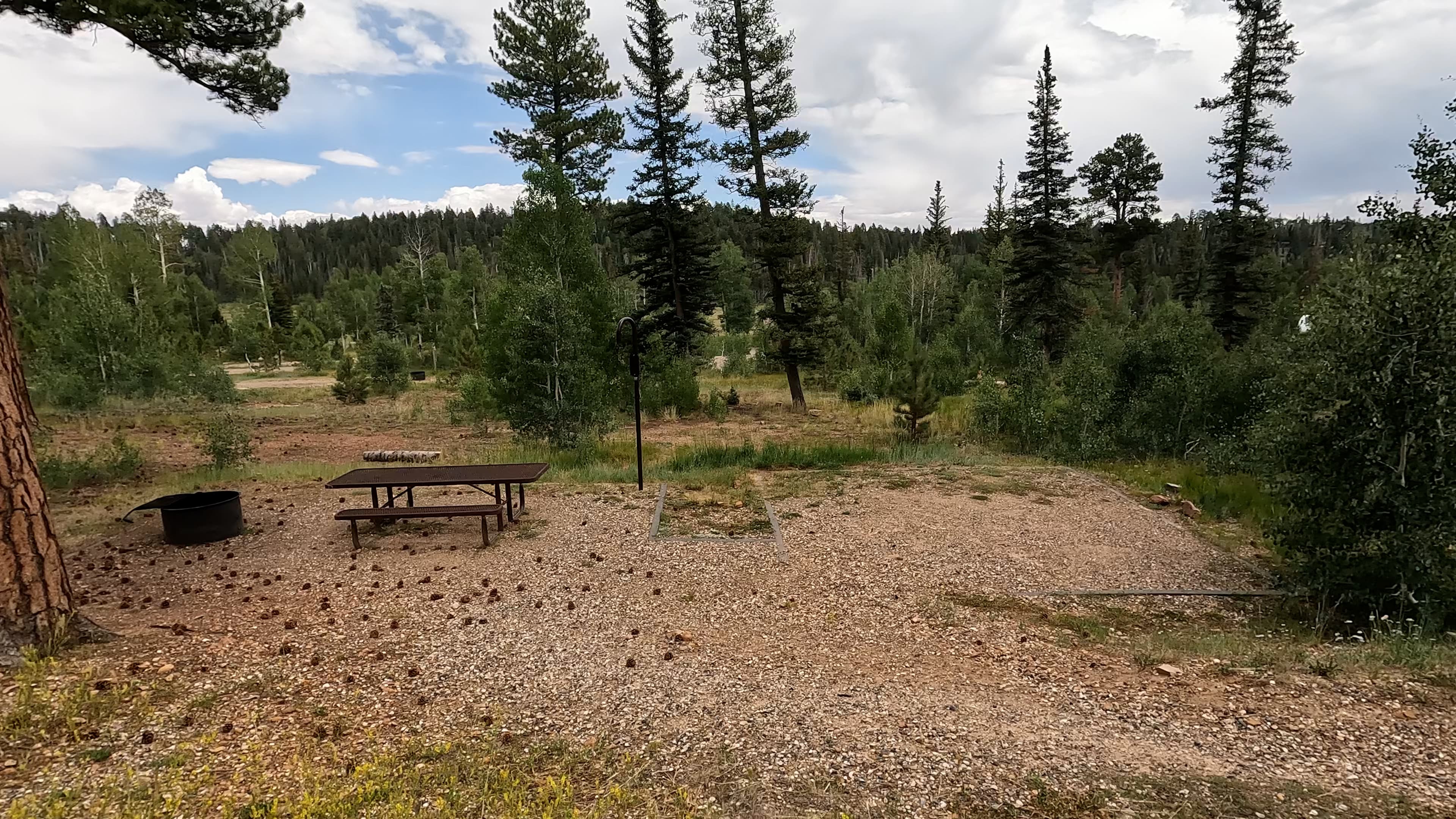 Site 12
