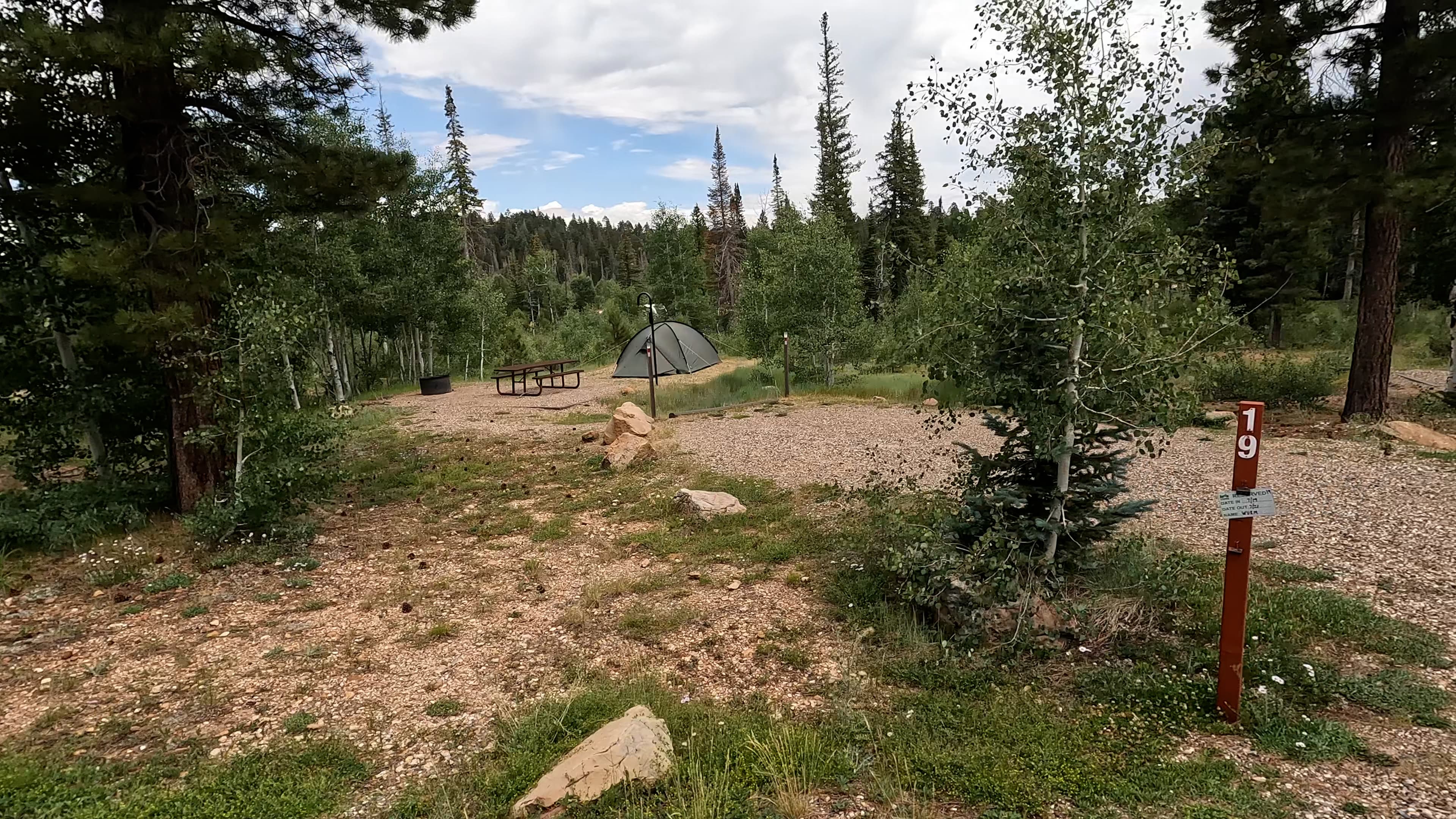Site 19