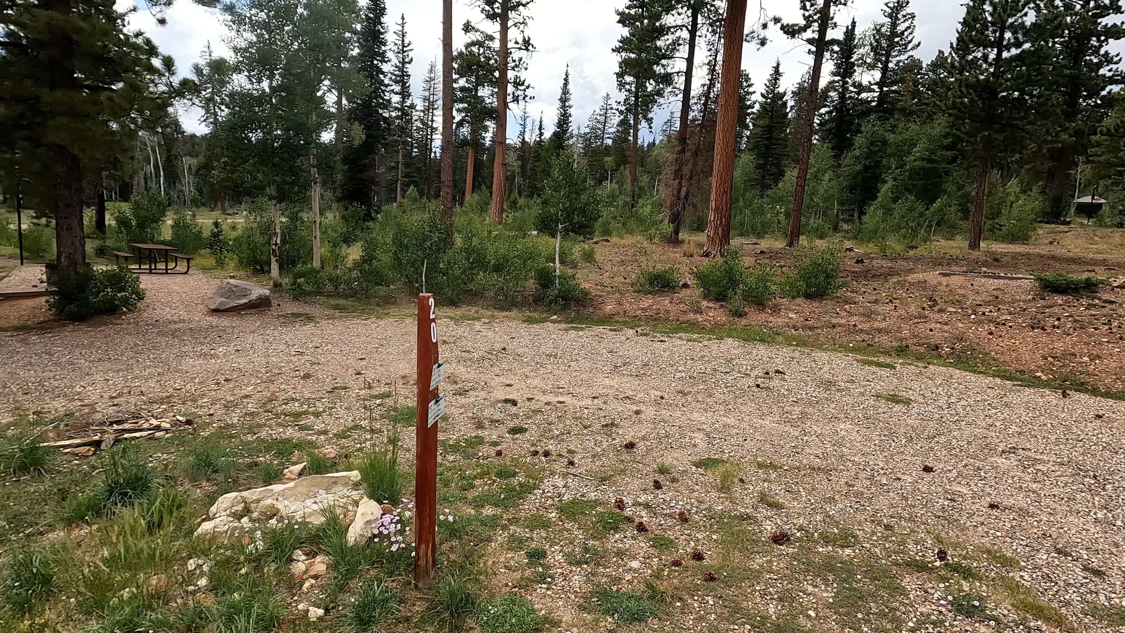 Site 20