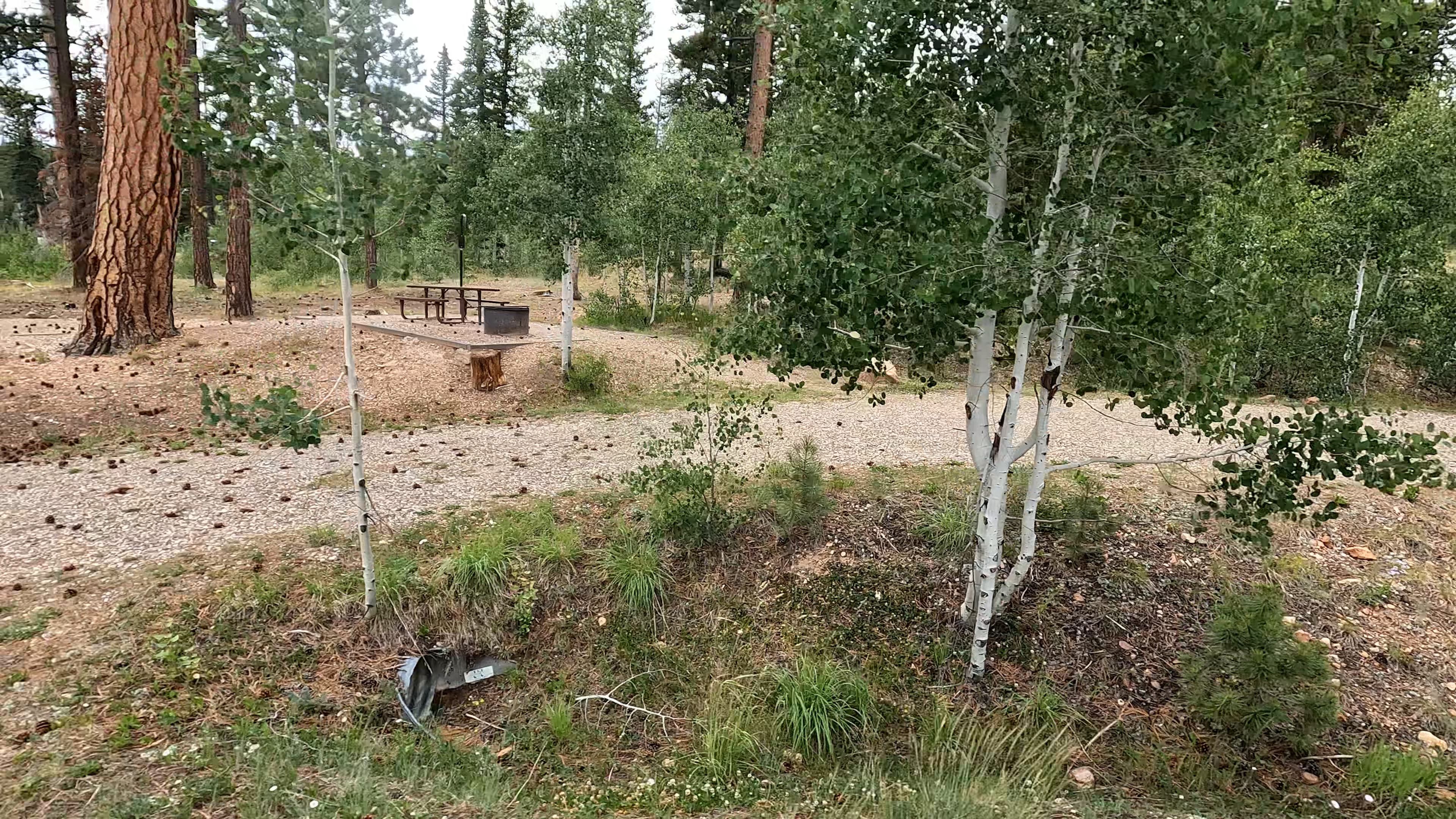 Site 18