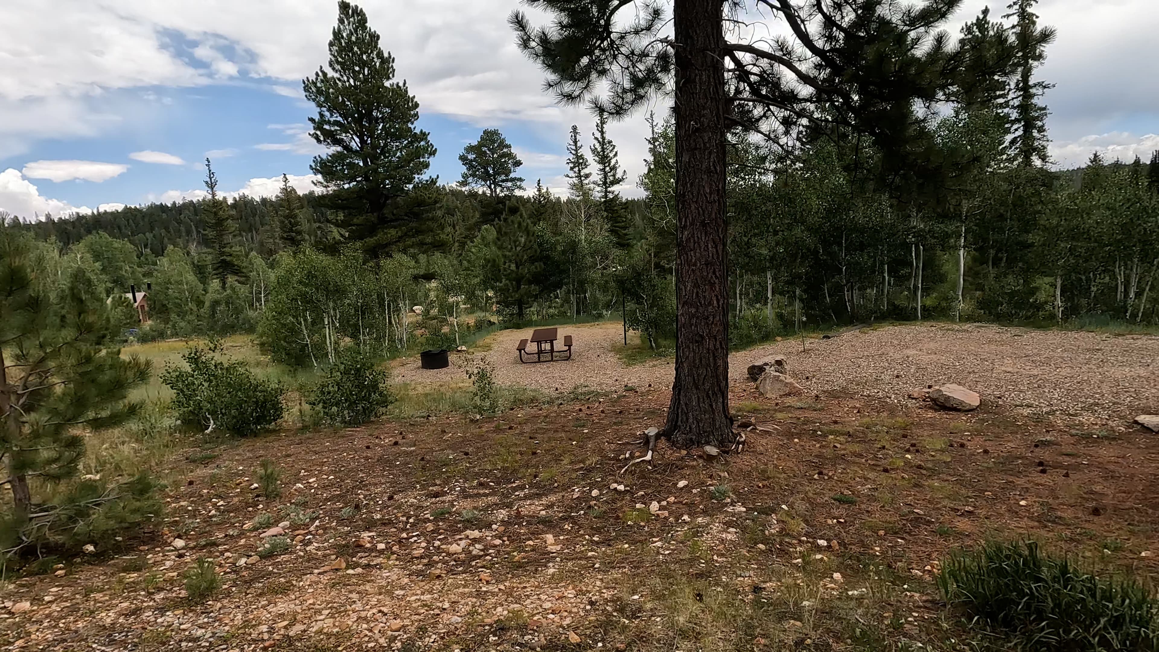 Site 15