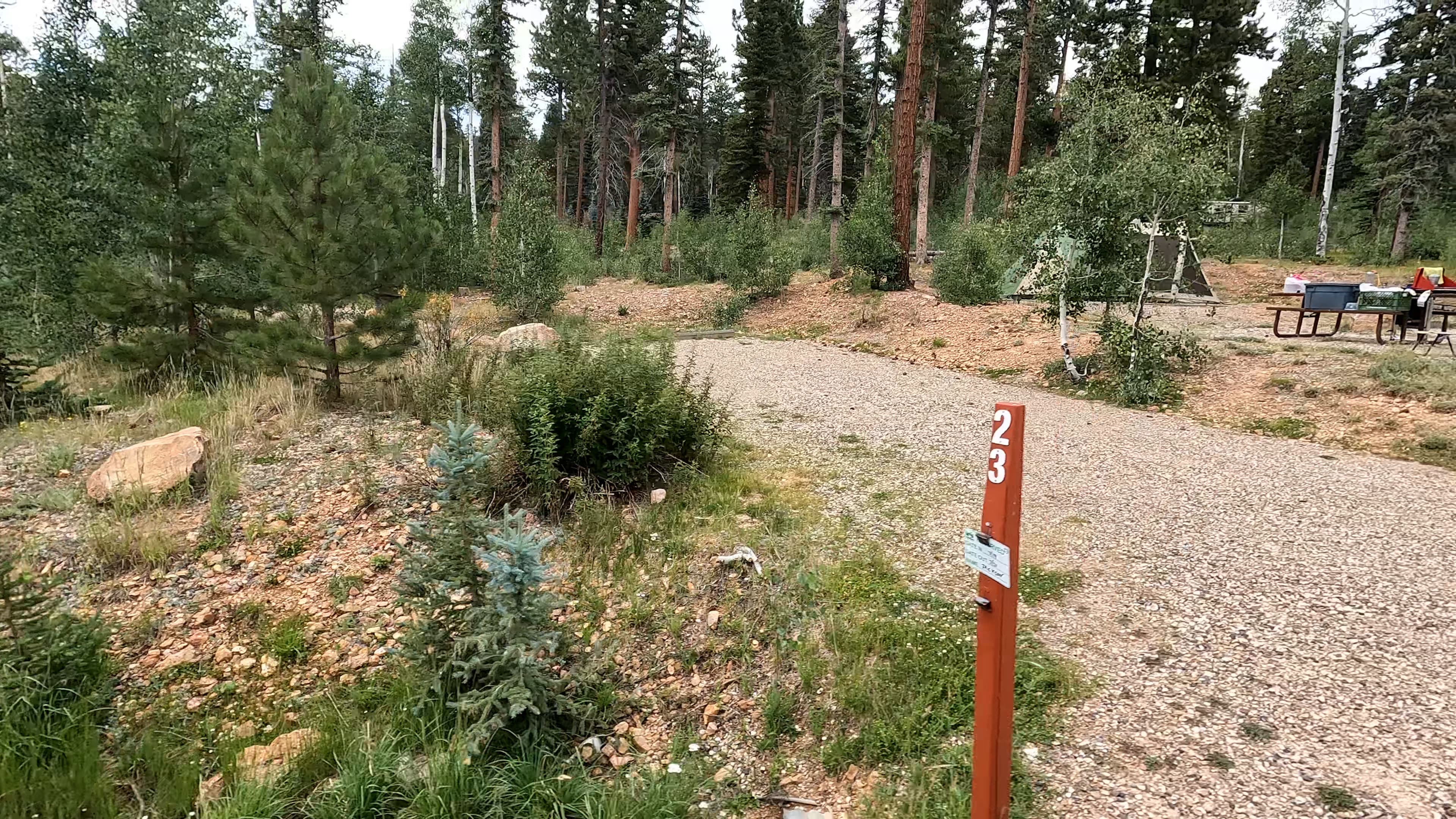 Site 23