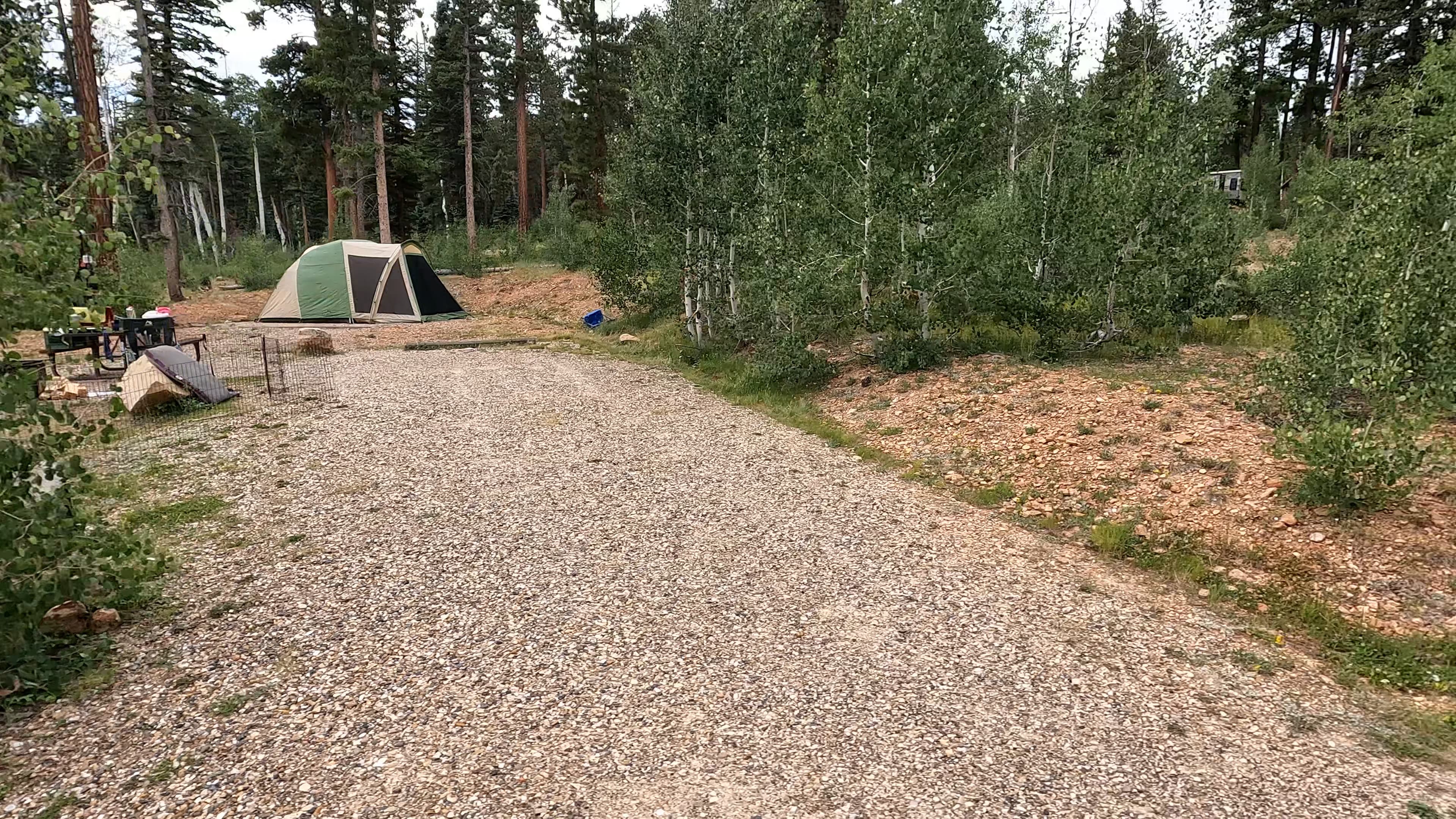 Site 24