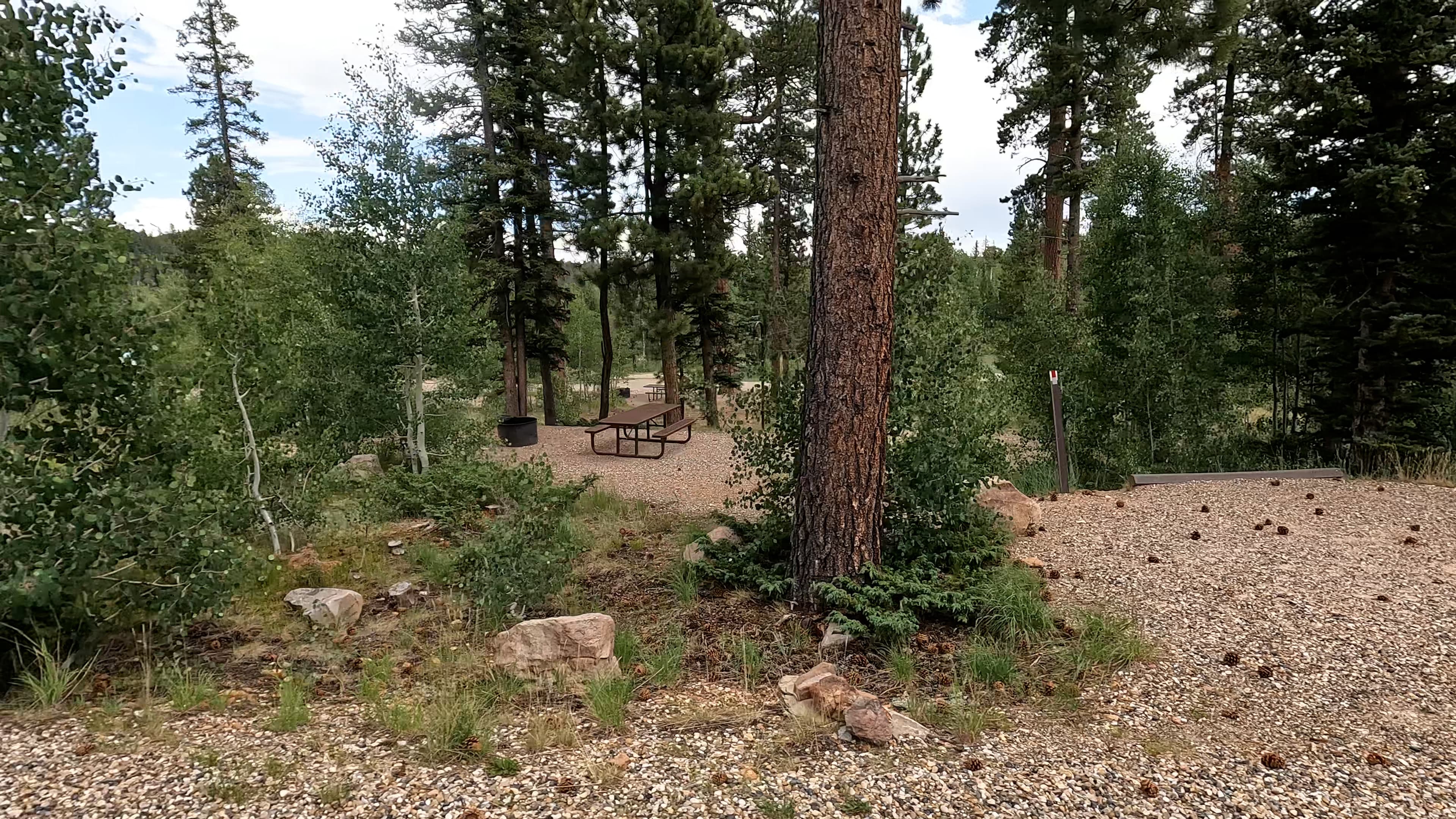 Site 25