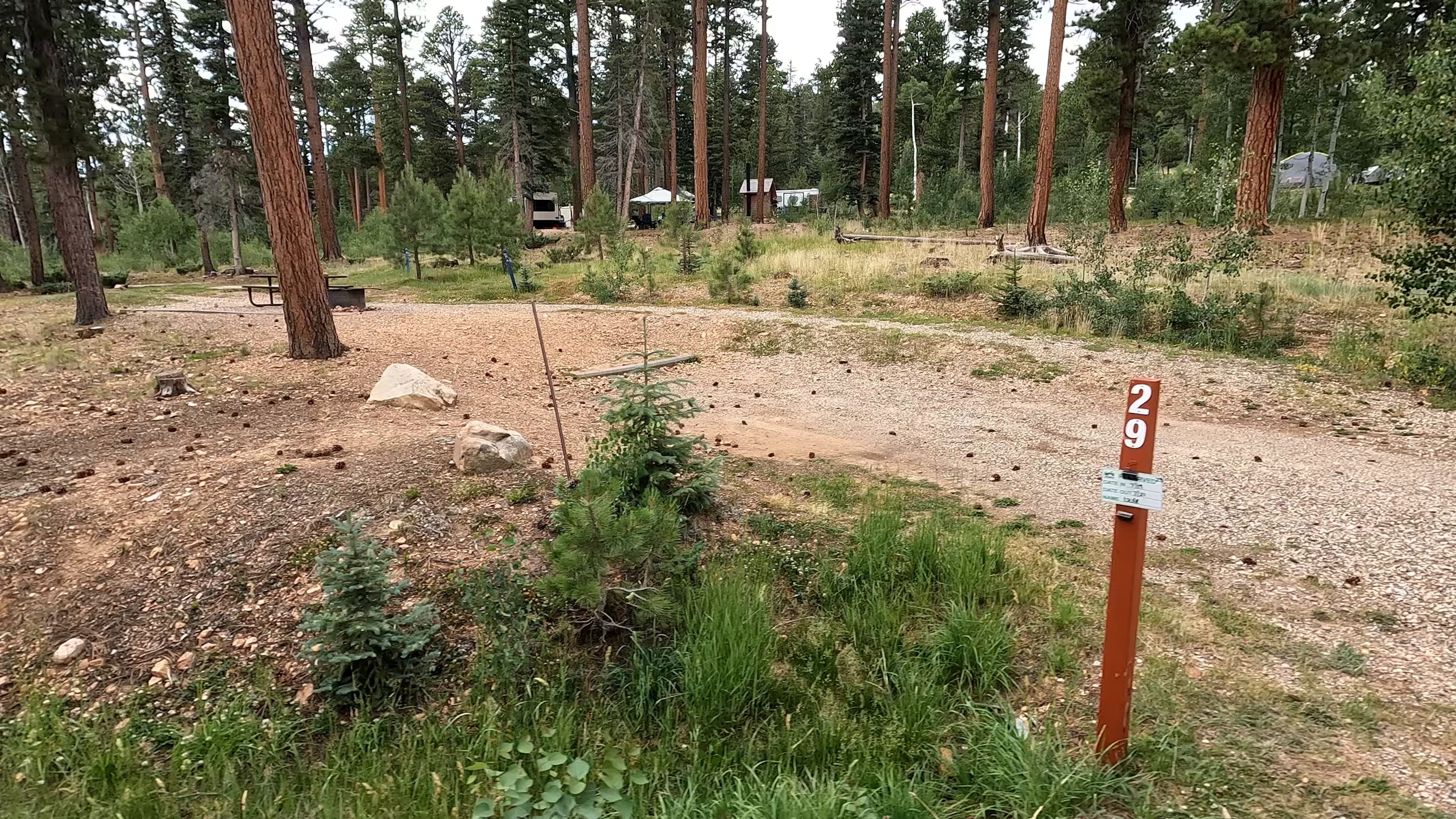 Site 29