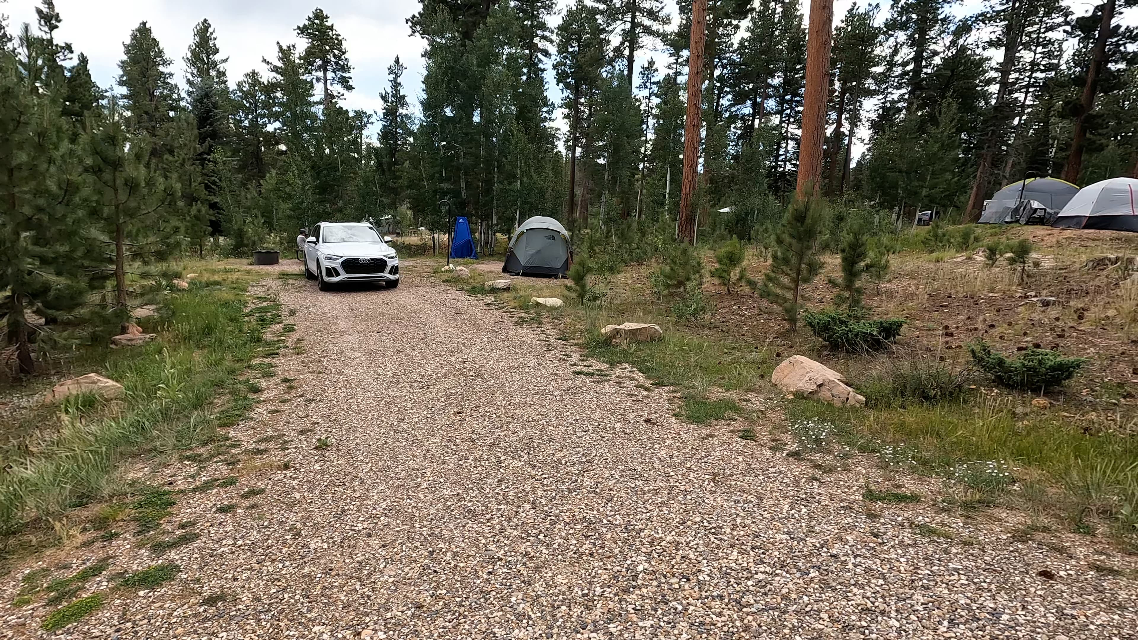 Site 31