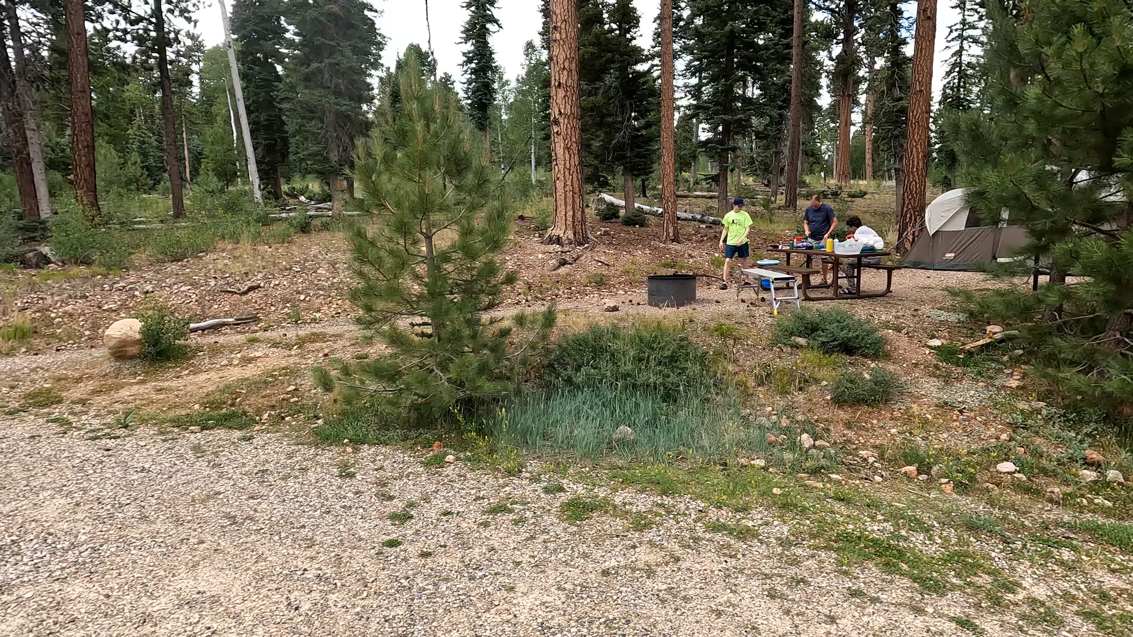 Site 33