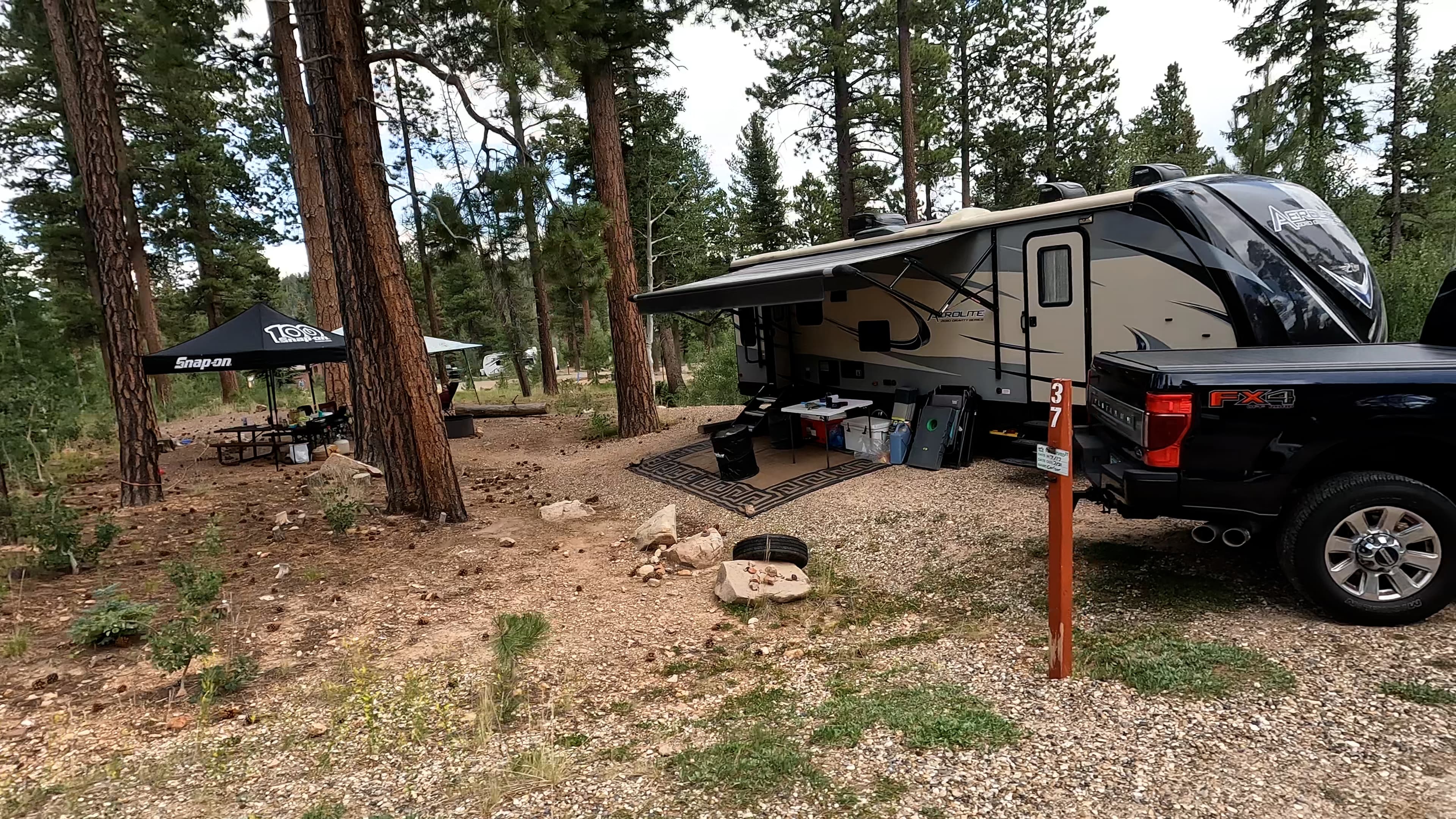 Site 37
