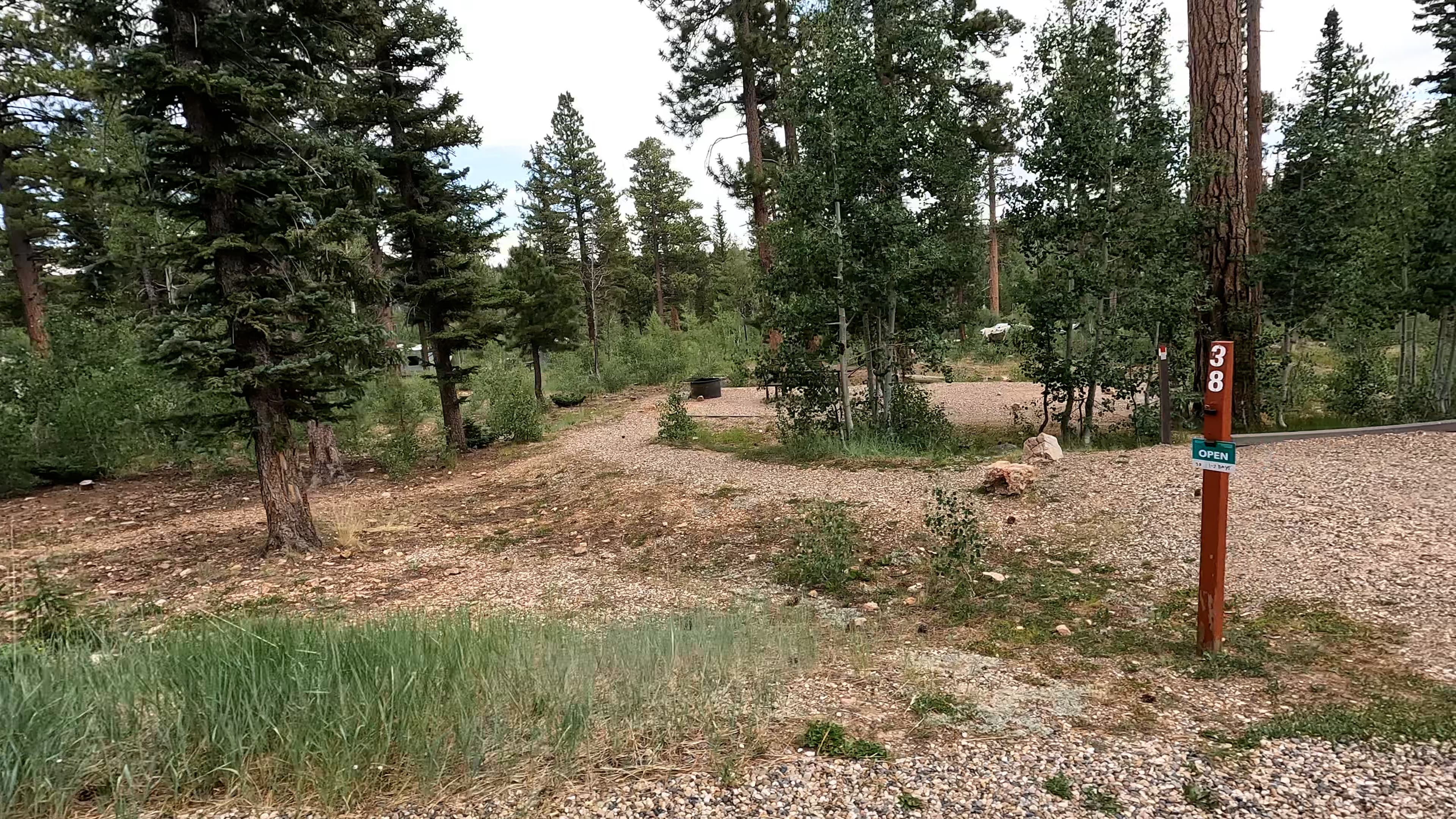 Site 38