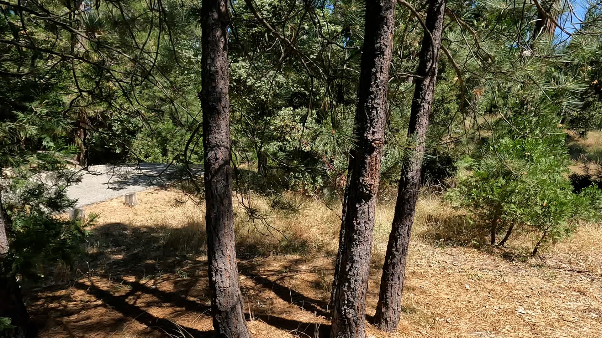 Site 63