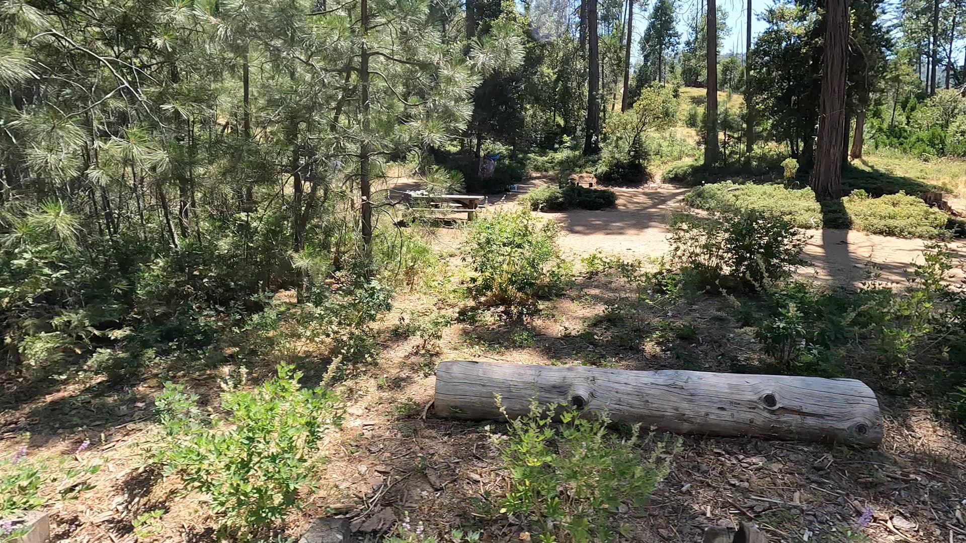 Site 93