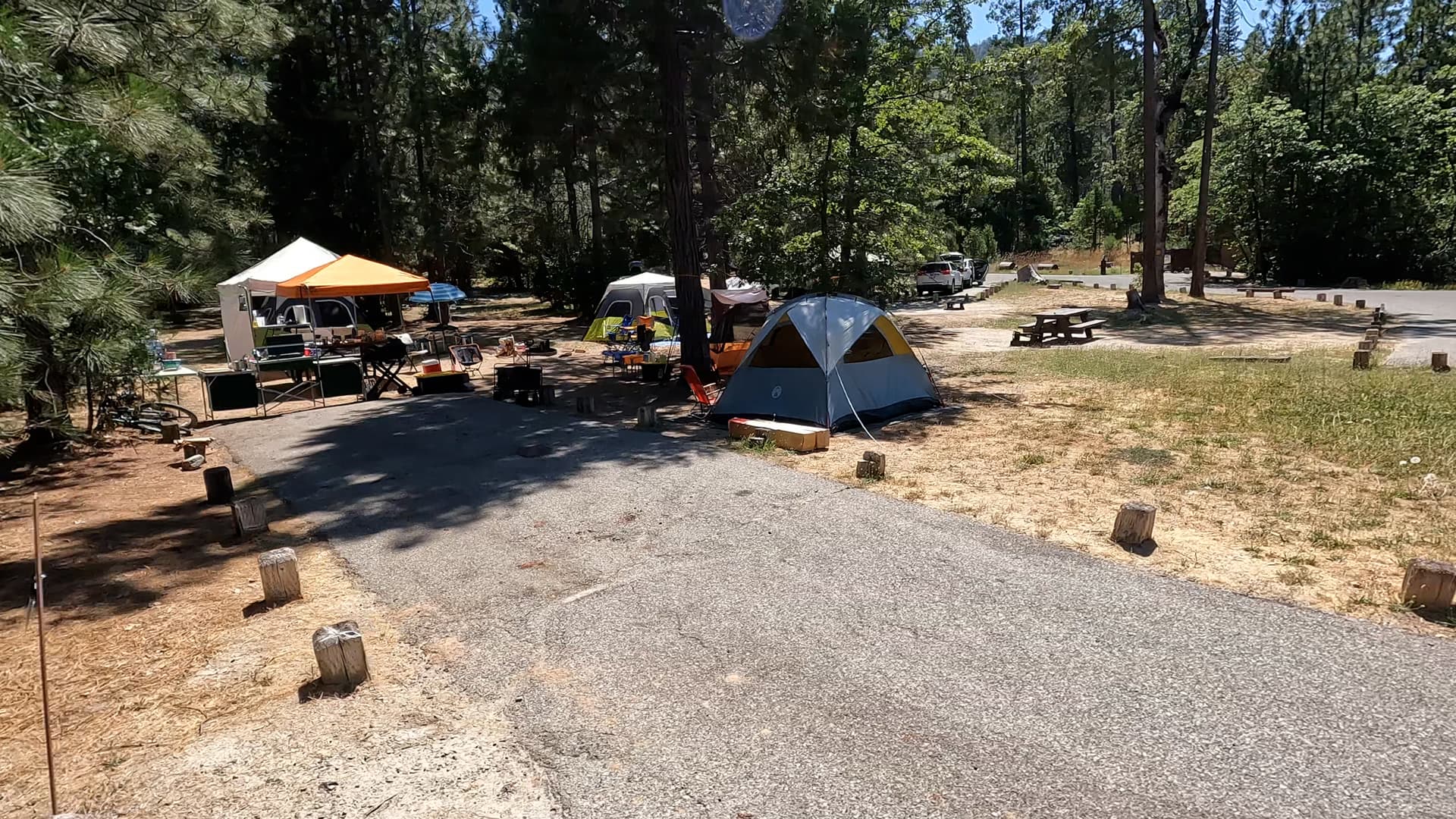 Site 86