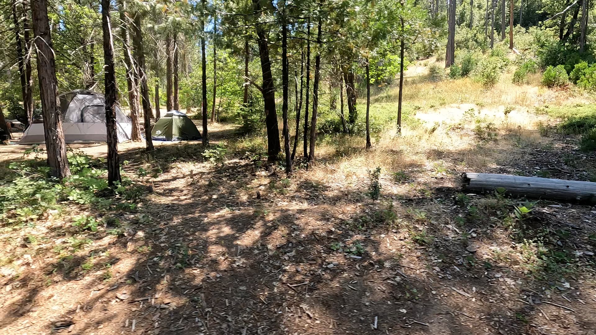 Site 94