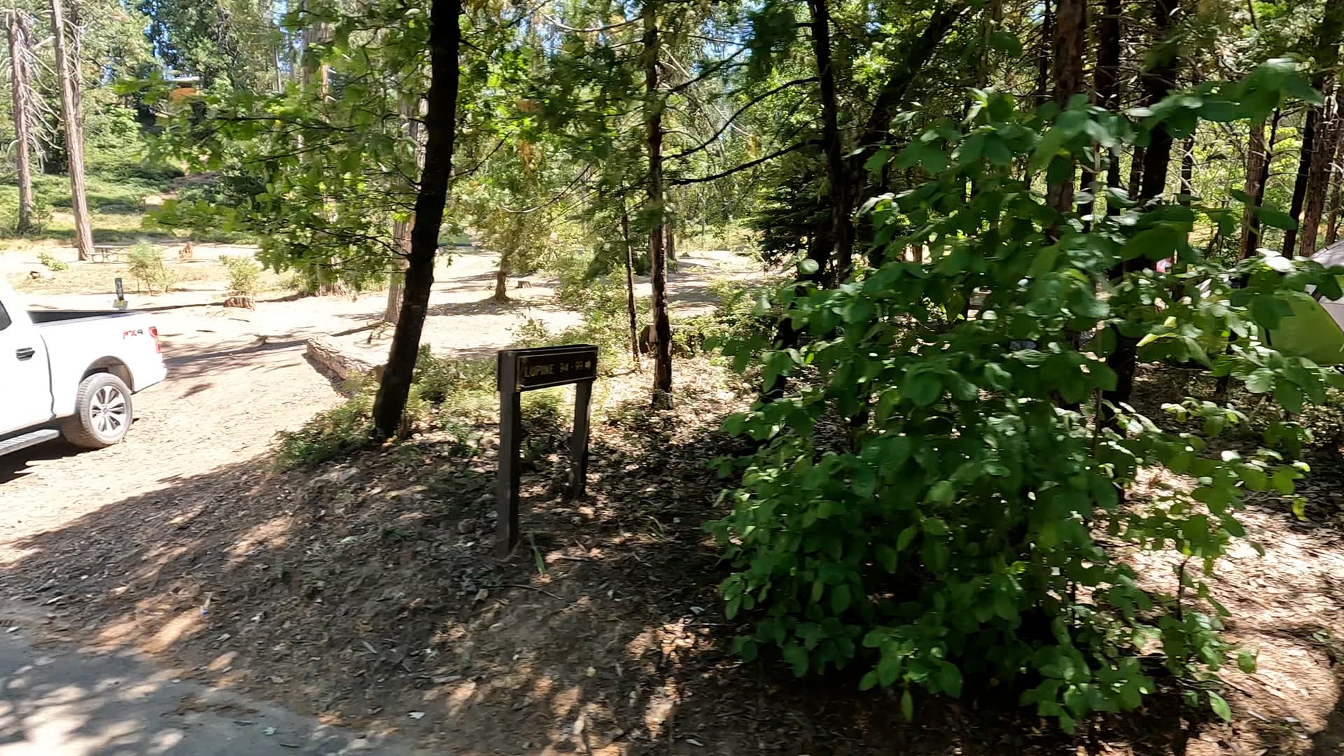Site 96