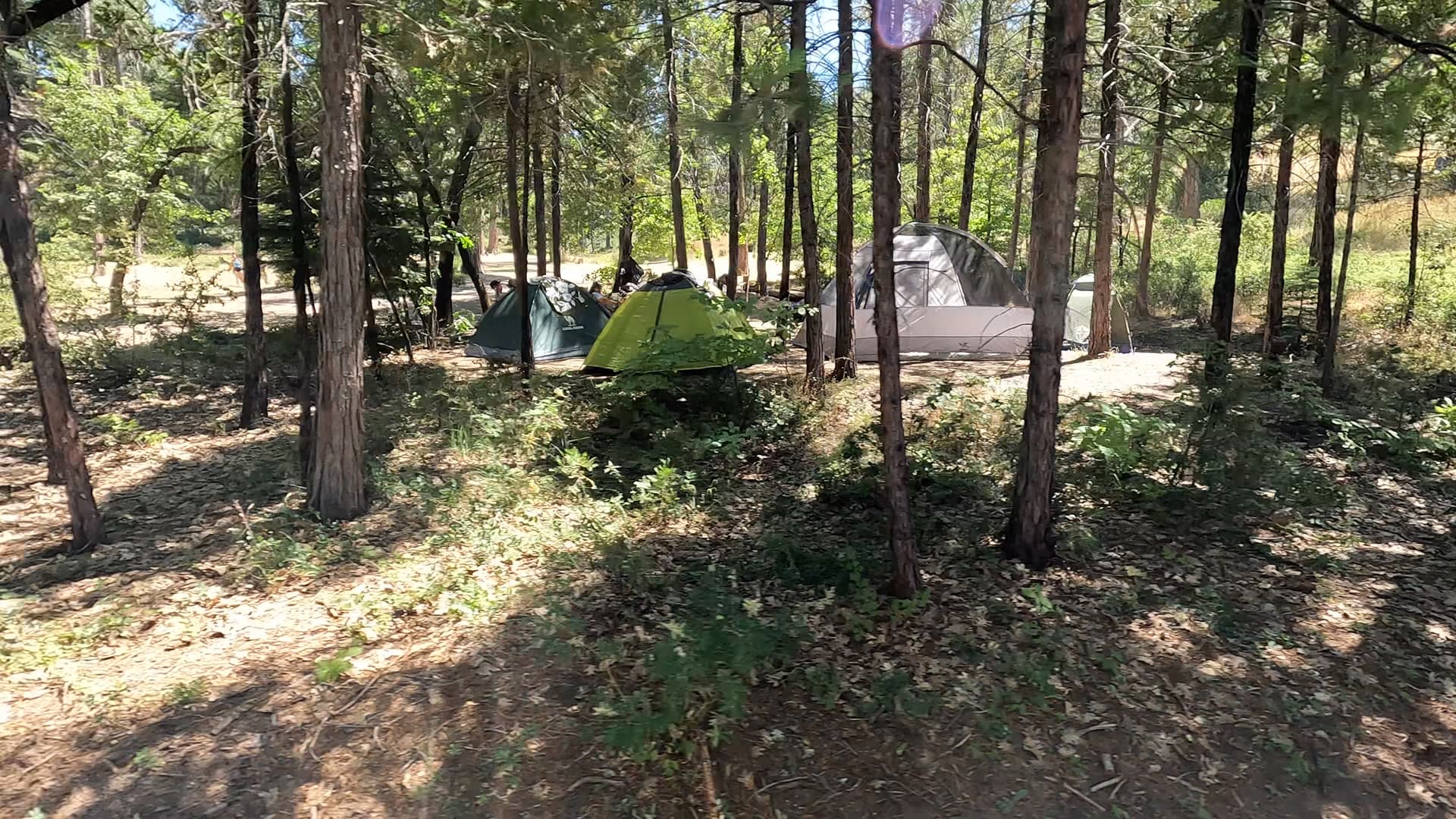 Site 95