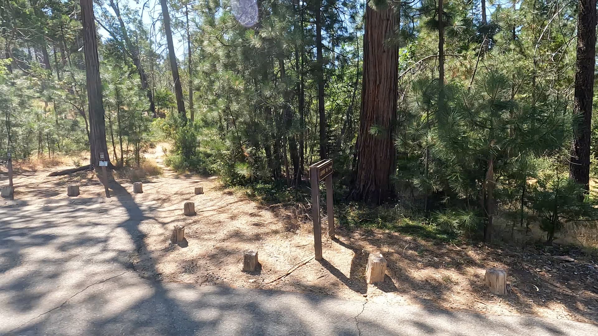 Site 88