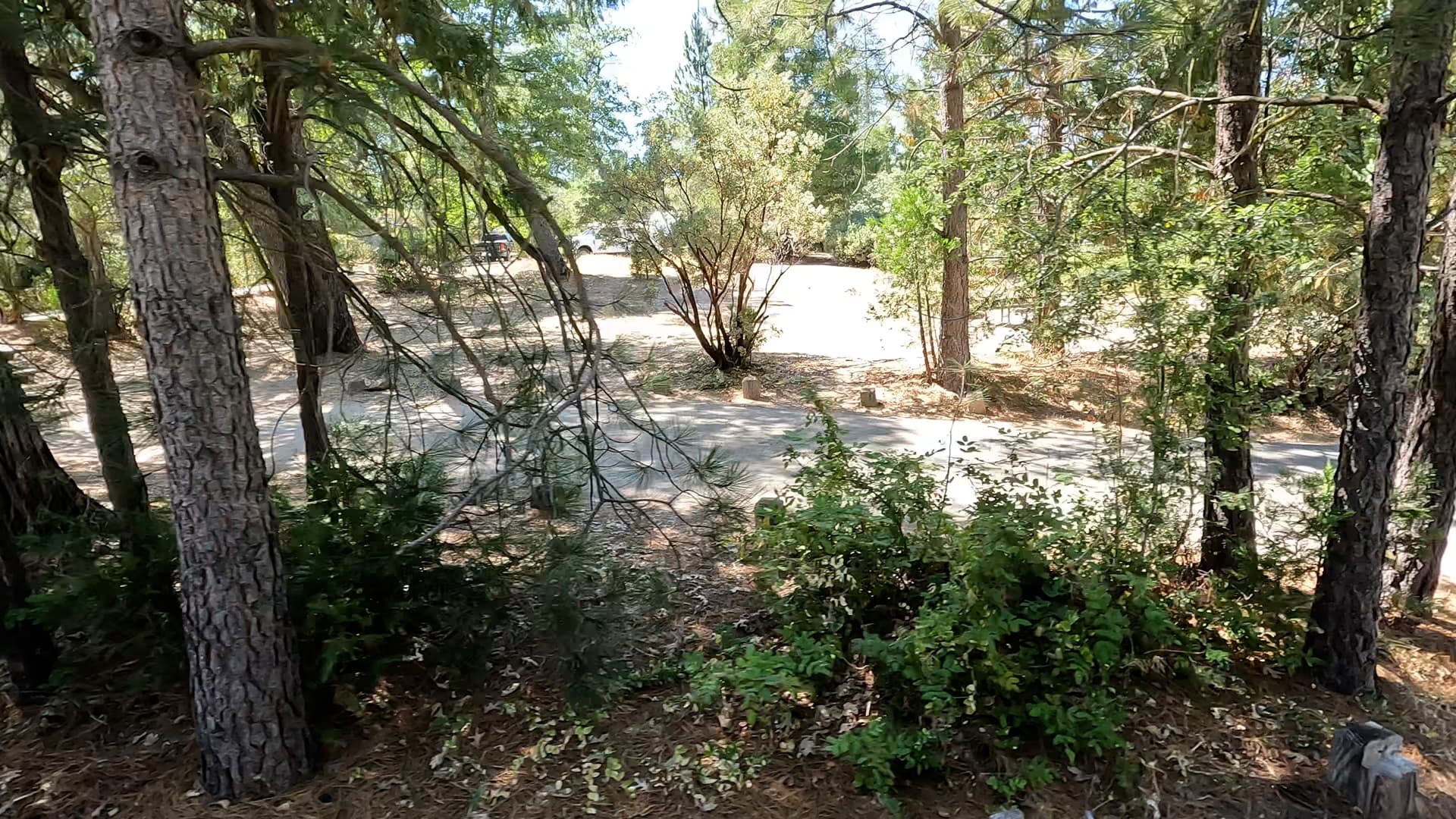 Site 64