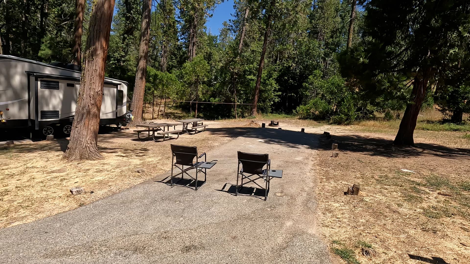Site 81