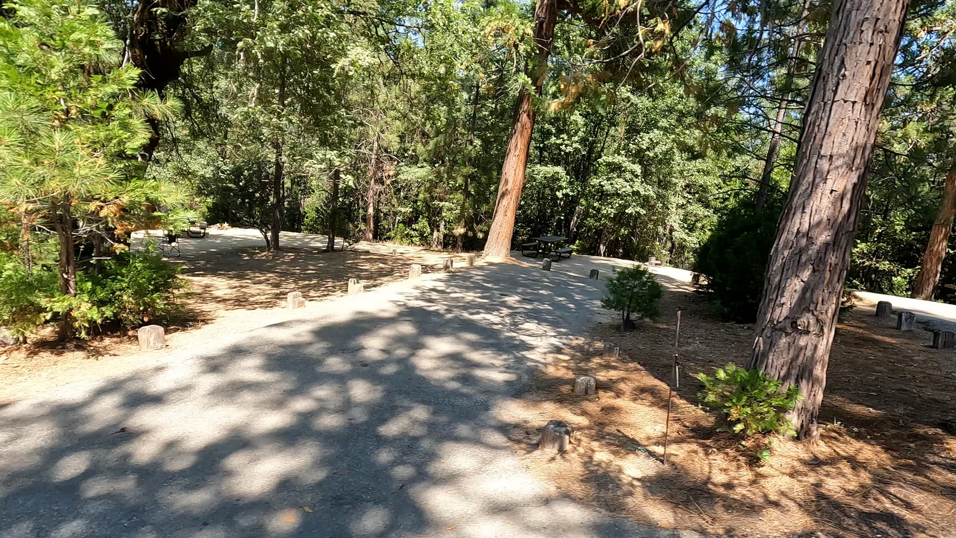 Site 102