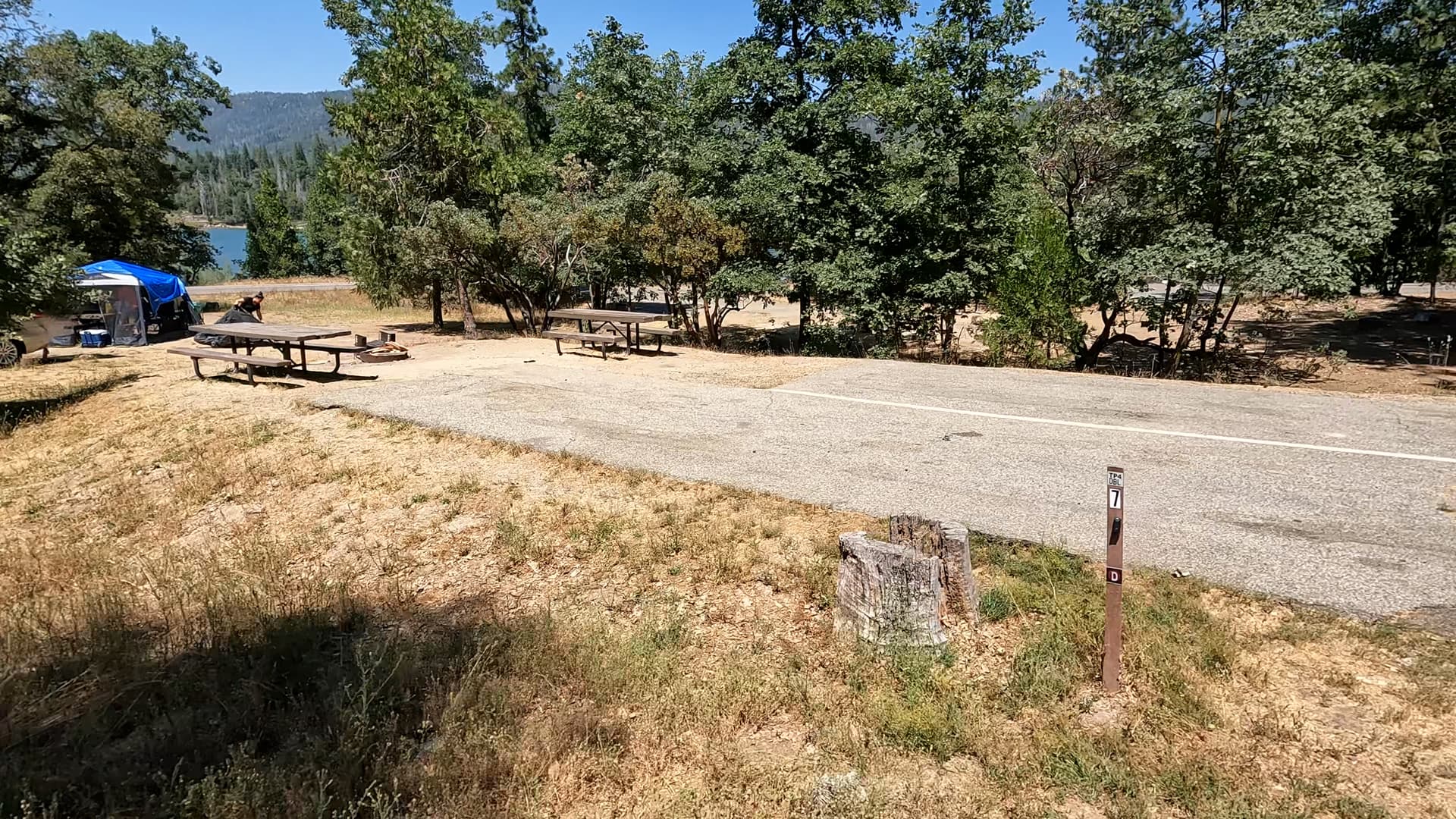Site 7