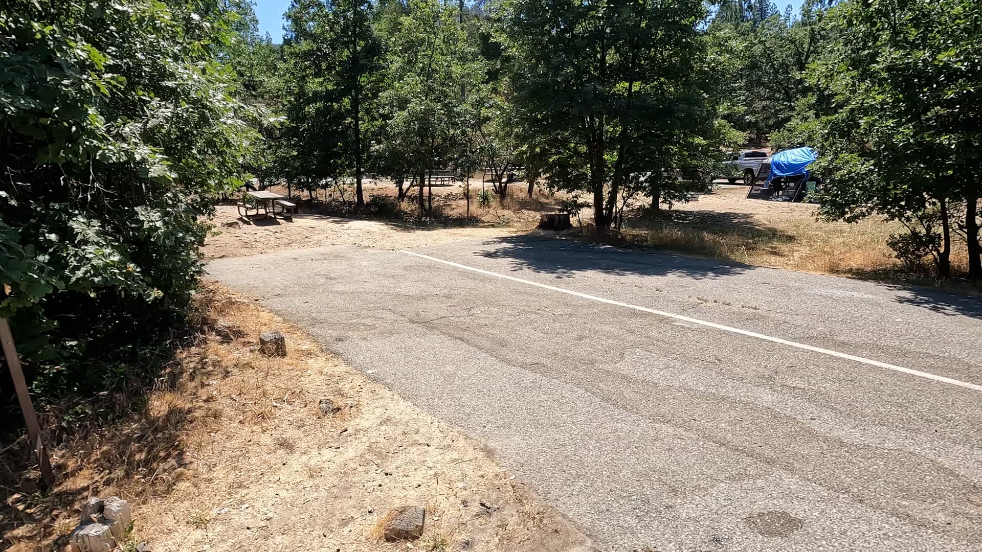 Site 3