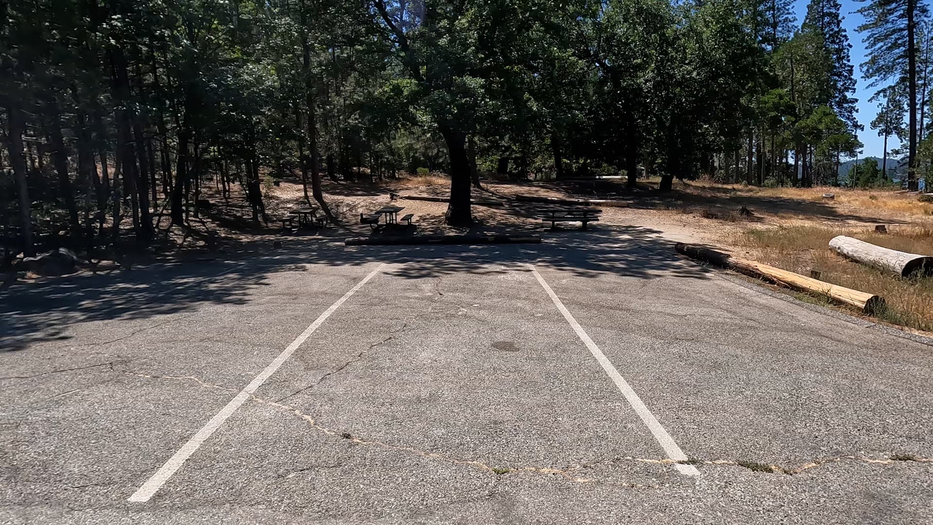 Site 5