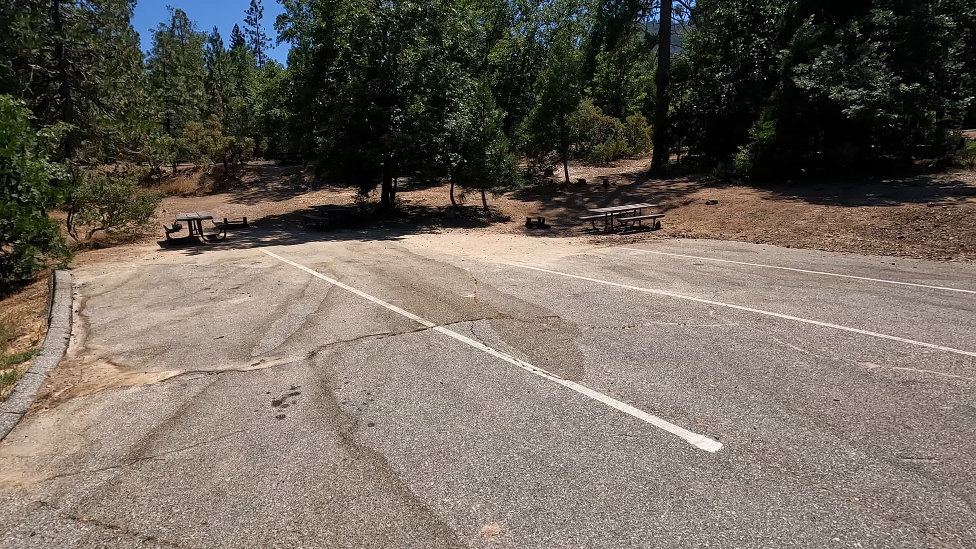 Site 12