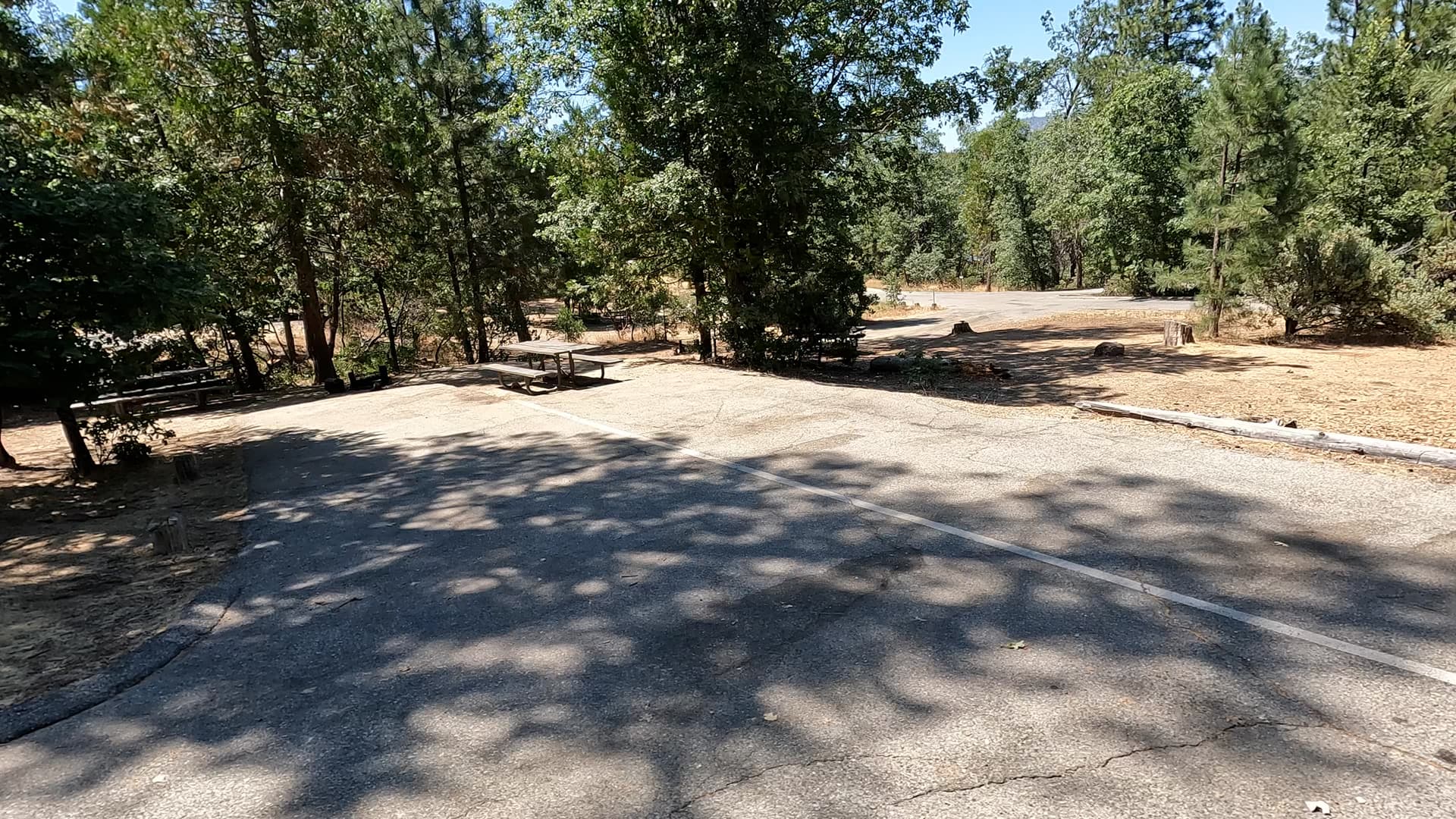 Site 8