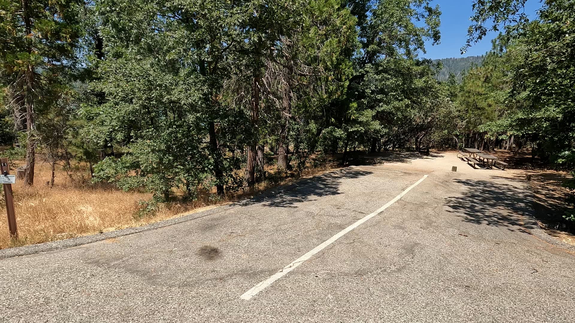Site 11