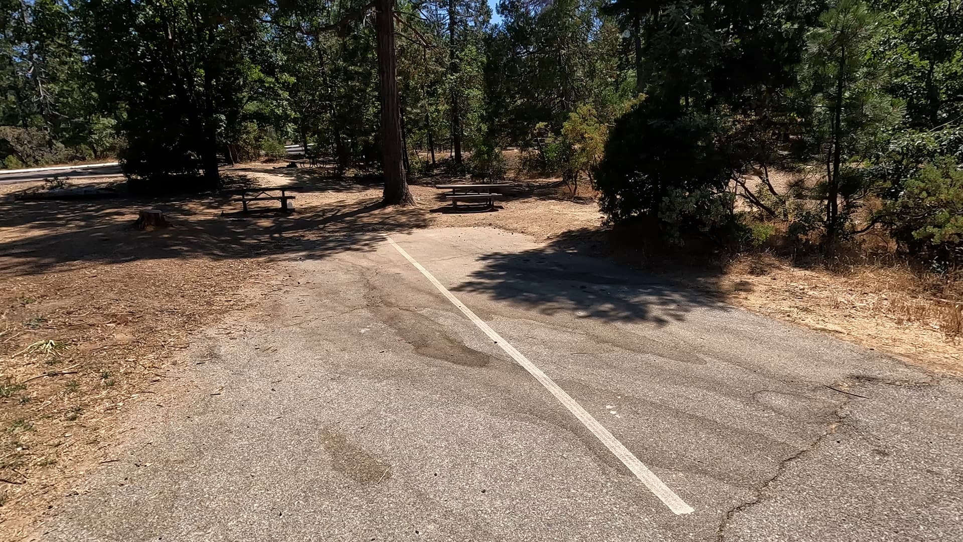 Site 10