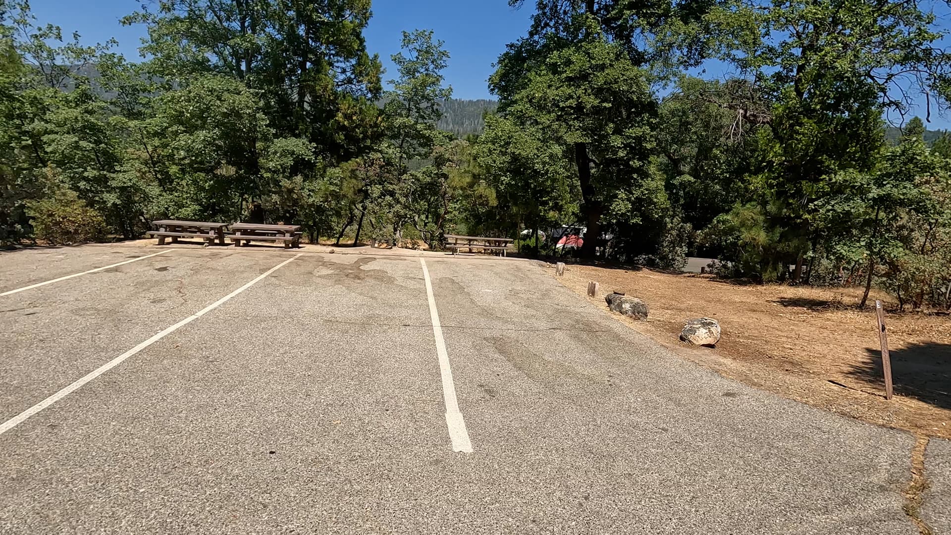 Site 9