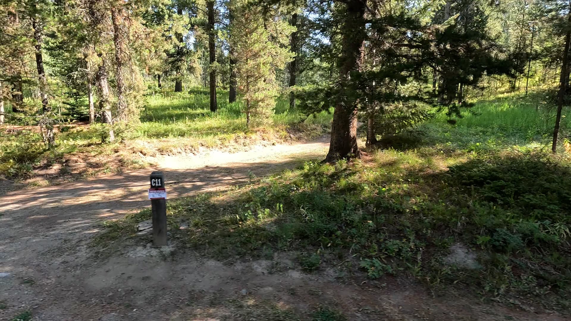 Site C11
