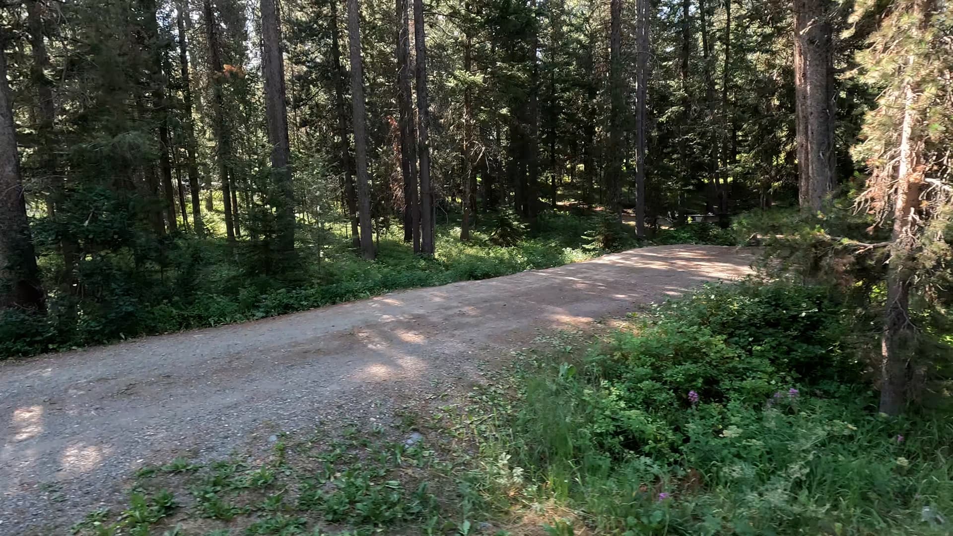 Site C23