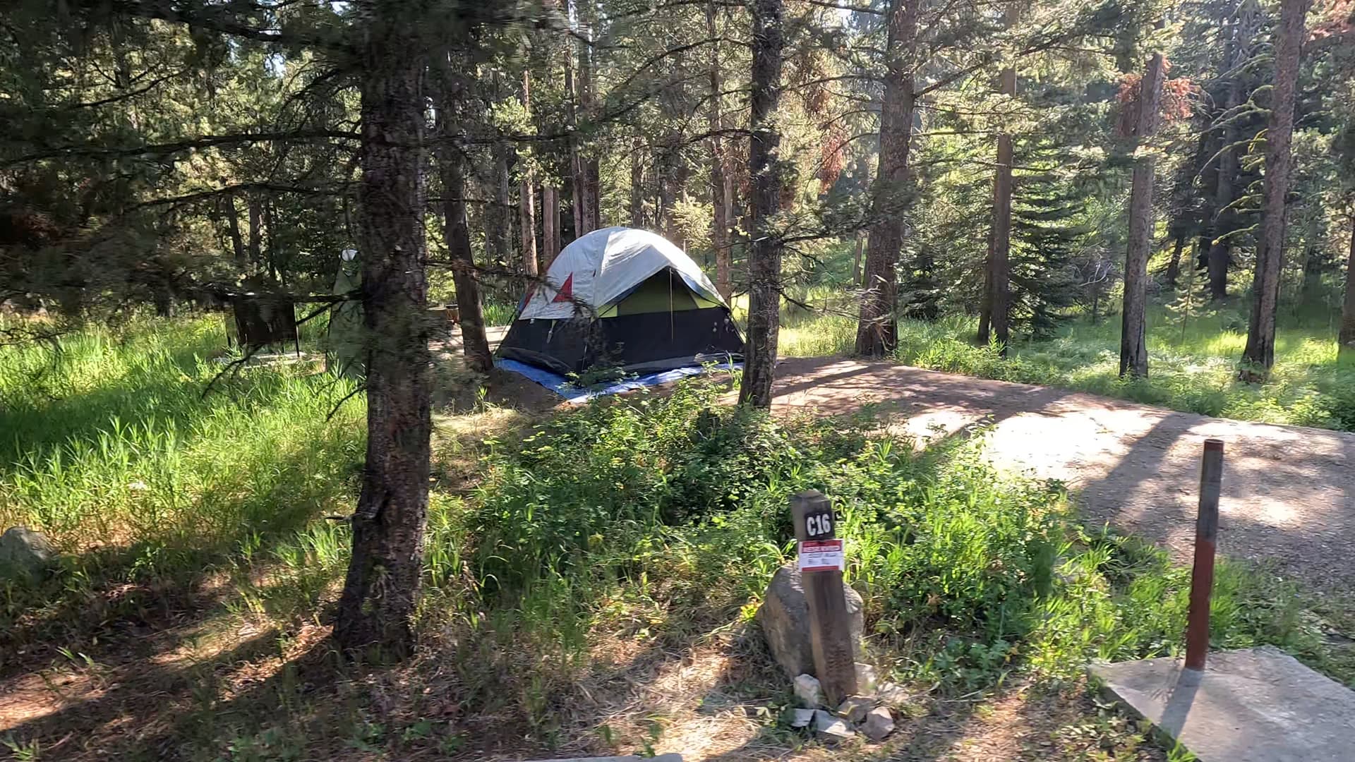 Site C16