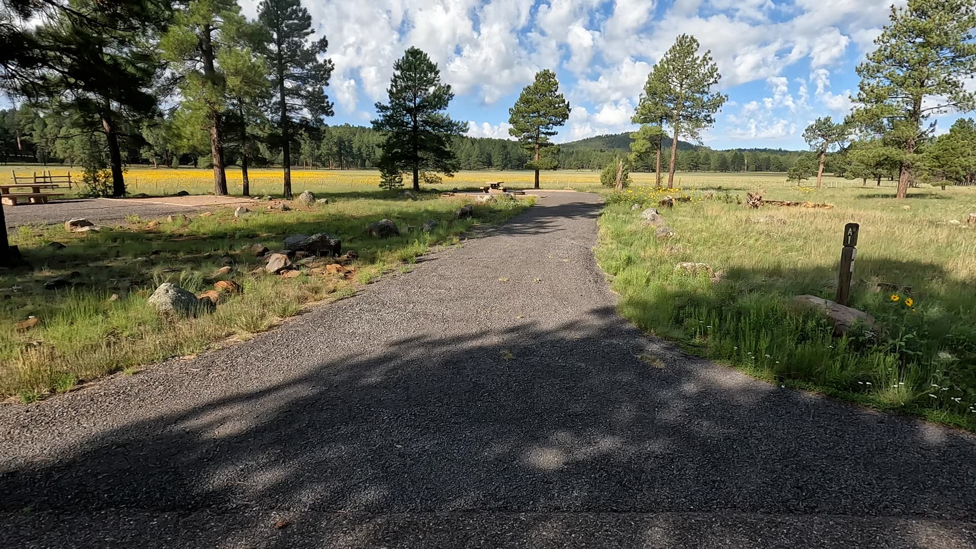Site 1