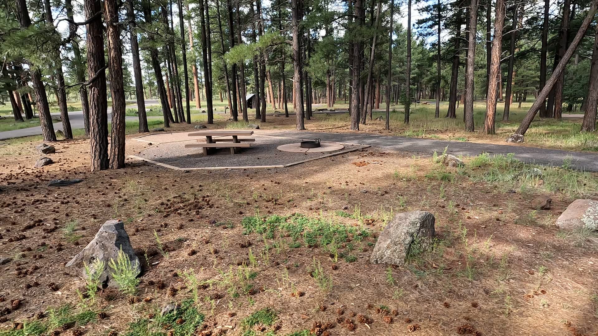 Site 28