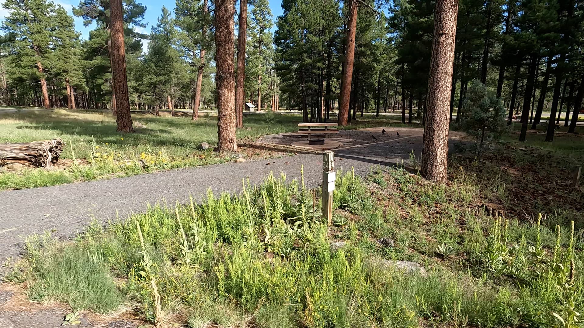 Site 24