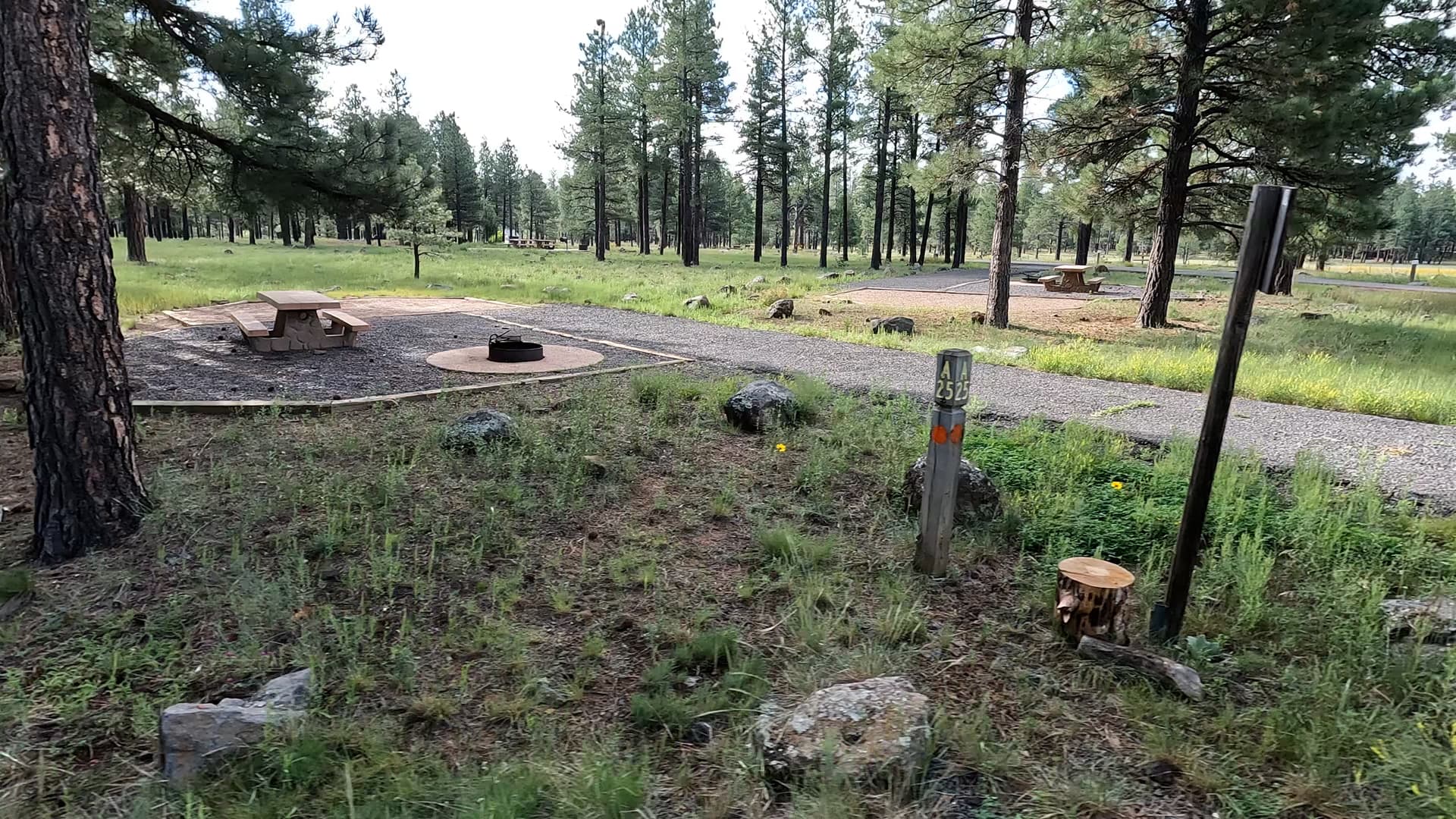 Site 25